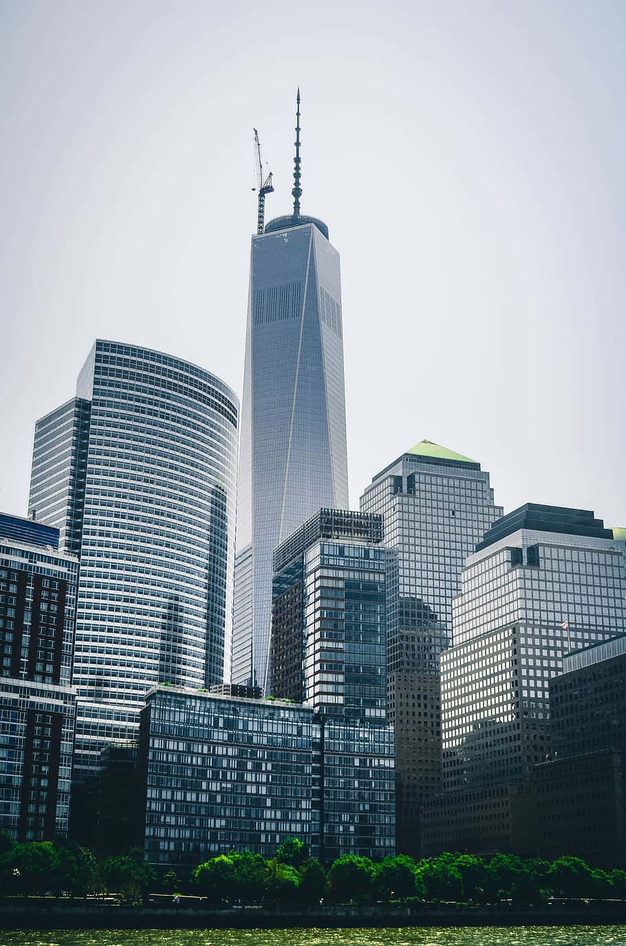 Skyscraper 桌布 壁紙 — 高聳的摩天大樓刺穿朦朧的天空，世界貿易中心一號大樓主導著城市天際線，下方是一排綠樹。