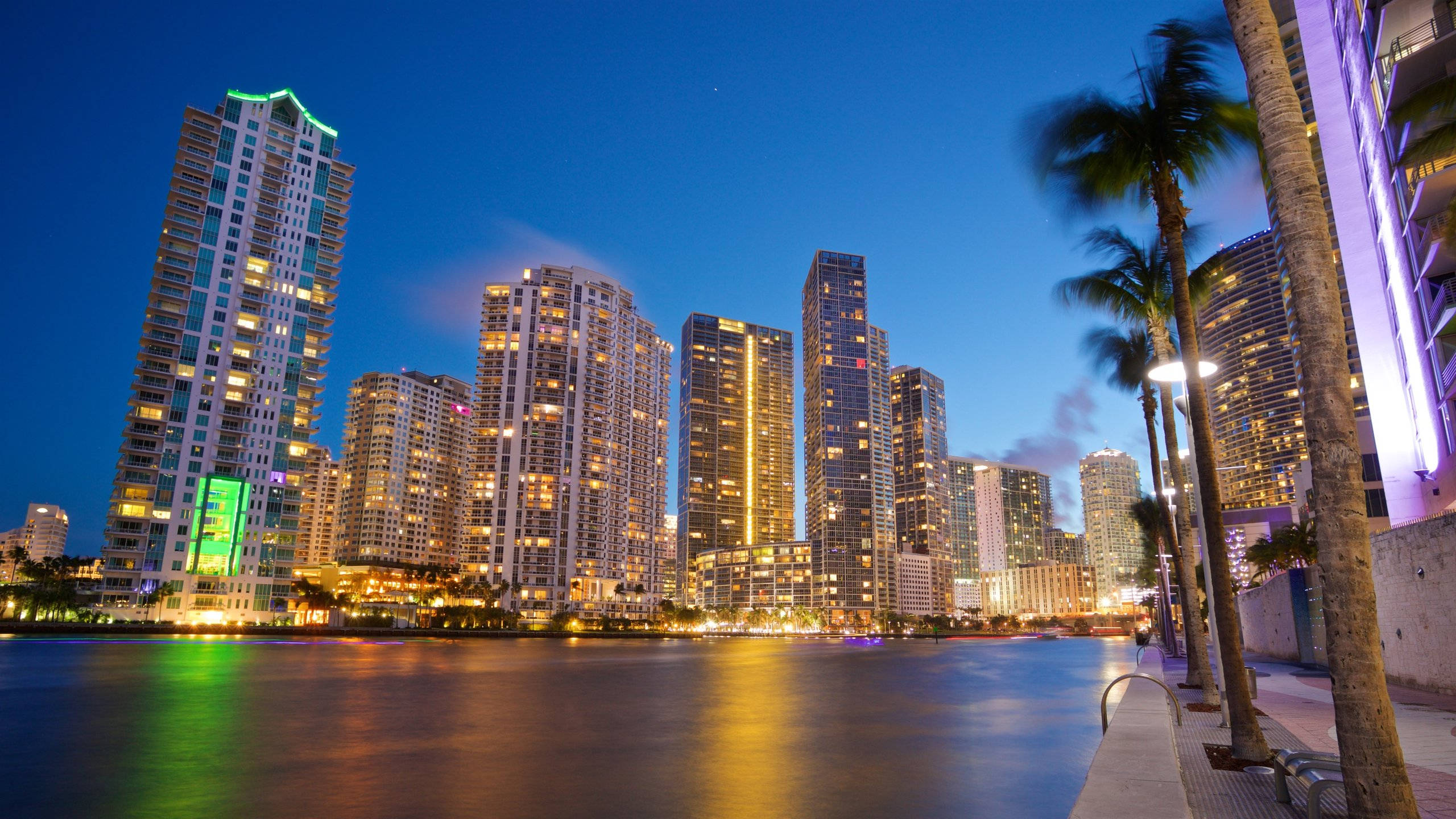 城市 桌布 壁紙 — 高聳的摩天大樓在暮色天空下閃耀著溫暖的燈光，倒映在平靜的水面上，旁邊是棕櫚樹成行的海濱步道。