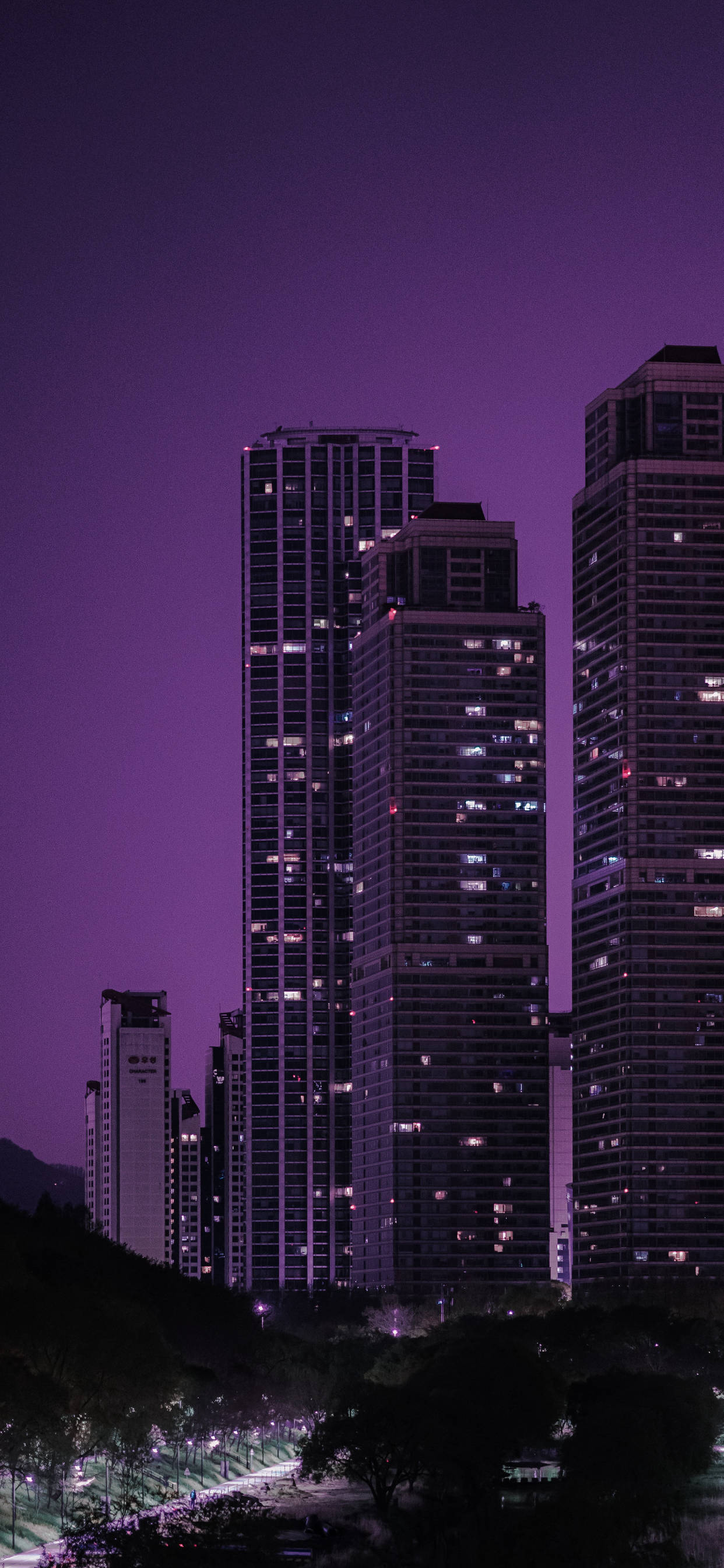 城市 桌布 壁紙 — 高聳的摩天大樓在深紫色暮色天空下，沿著一條黑暗的林蔭大道散發著溫暖的光芒。