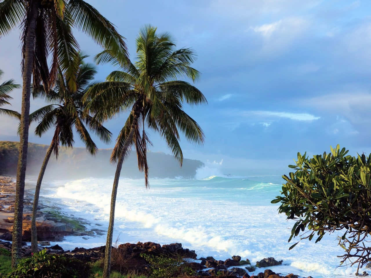 Coconut Trees 桌布 壁紙 — 高聳的棕櫚樹在岩石海岸附近搖曳，碧綠色的海浪在陰沉的藍天下拍打。