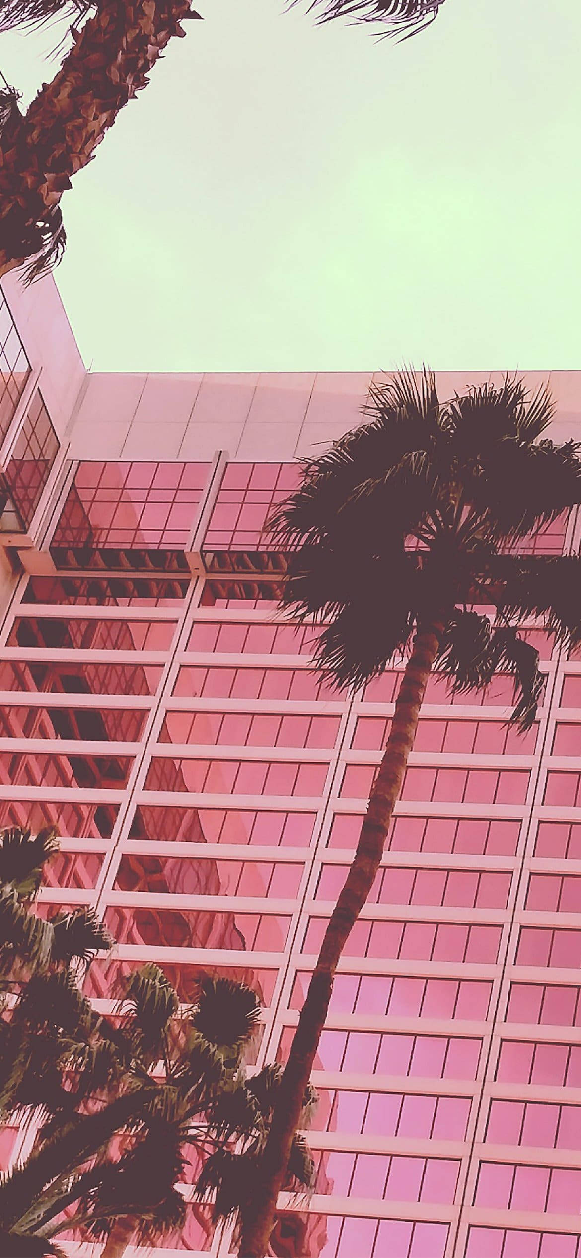 Hot Pink Aesthetic 桌布 壁紙 — 高聳的棕櫚樹環繞著一座現代玻璃建築，背景是超現實的粉紅和薄荷色天空。