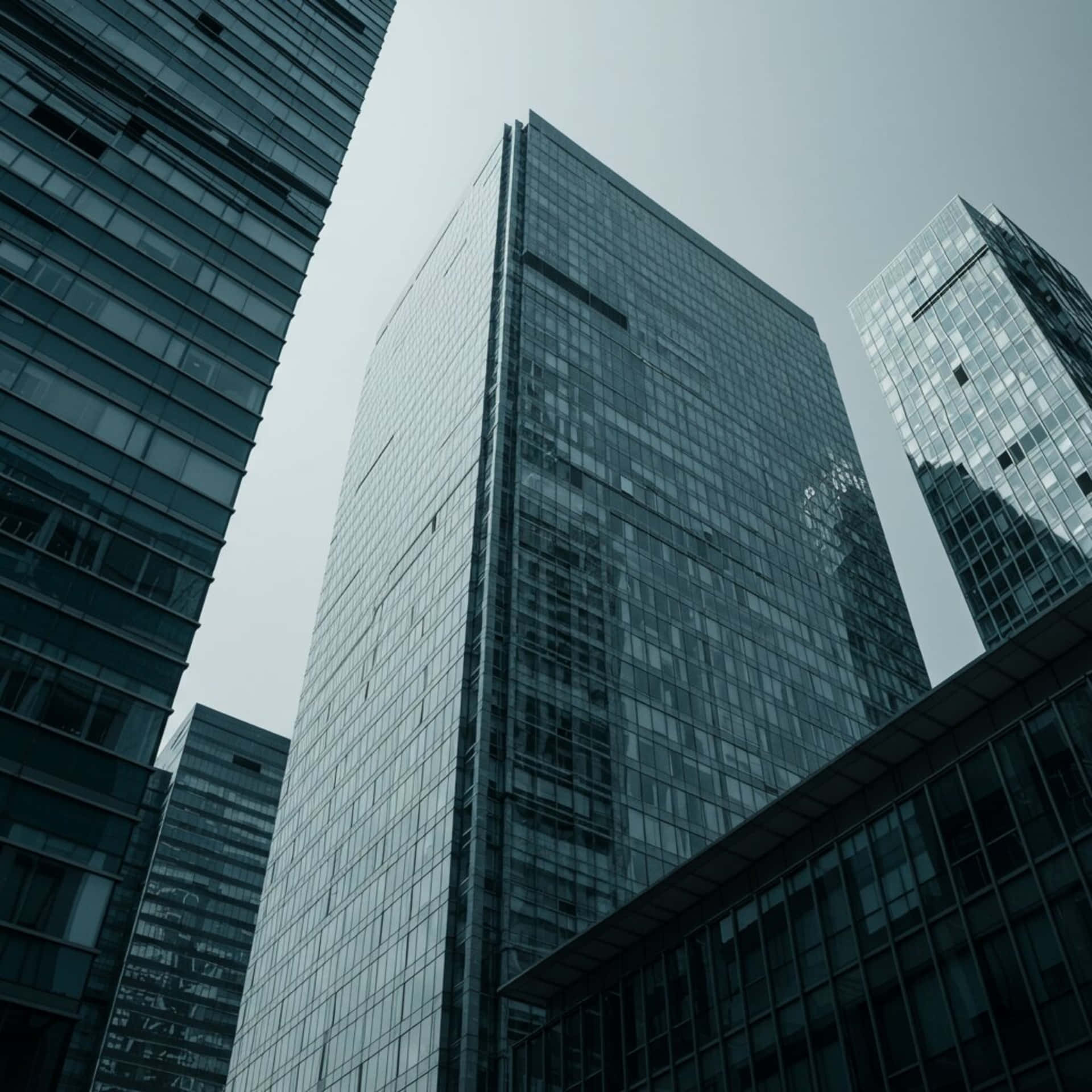 Skyscrapers 壁紙 — 高聳的玻璃摩天大樓刺穿陰沉的灰色天空，形成一個 stark 的現代都市峽谷。