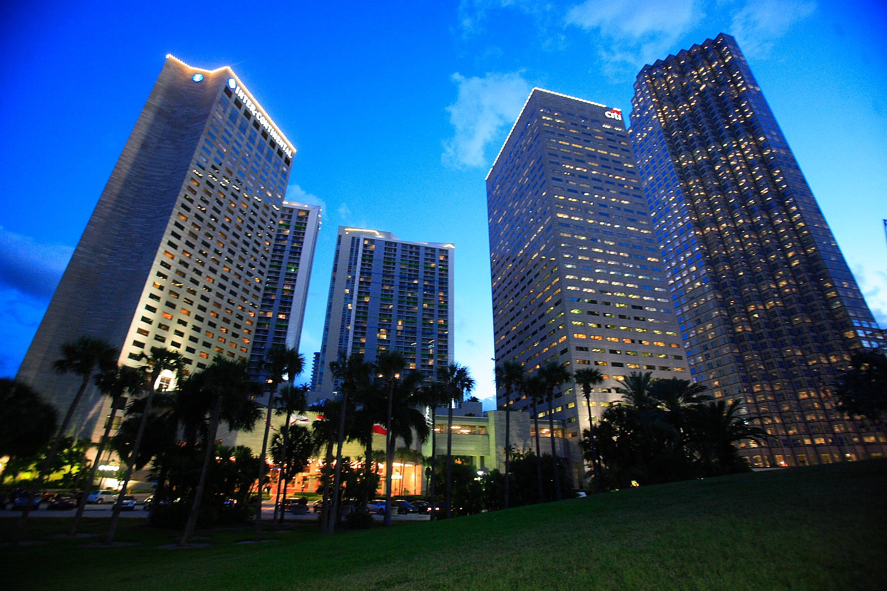Miami 桌布 壁紙 — 高聳的玻璃摩天大樓在深藍色暮色天空下閃耀著溫暖的燈光，周圍環繞著棕櫚樹和綠草。