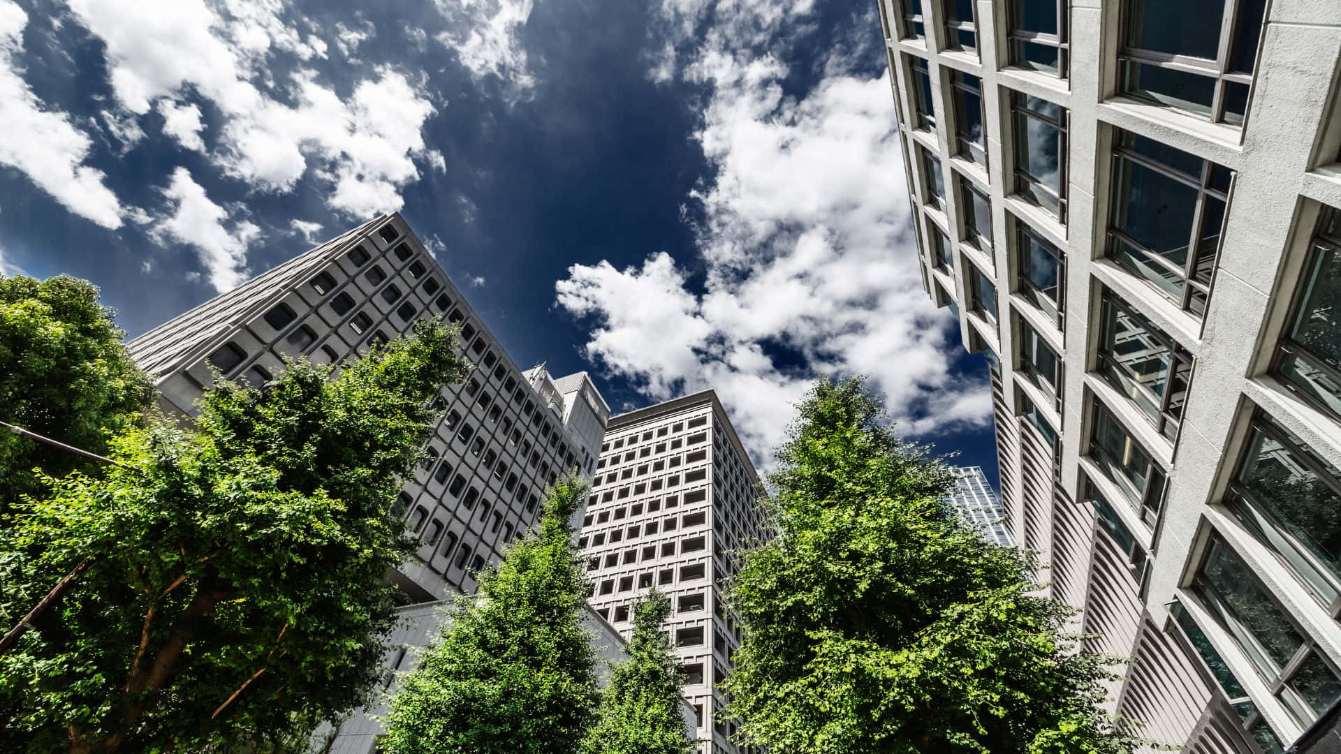 Green Buildings 桌布 壁紙 — 高聳的現代摩天大樓框住了充滿活力的藍天和蓬鬆的白雲，底部點綴著茂密的綠樹。