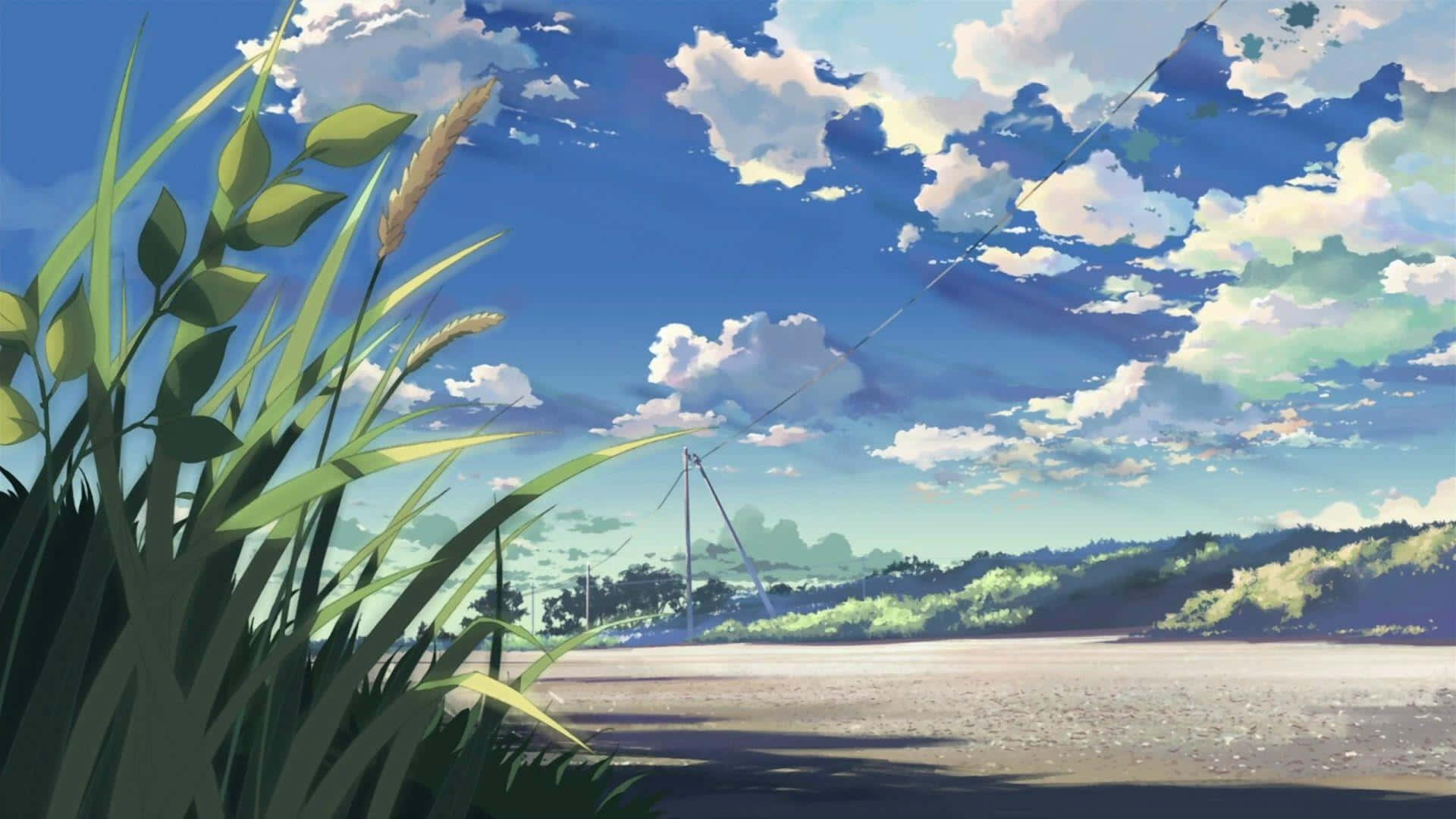 油漬搖滾 桌布 壁紙 — 高草在前景搖曳，廣闊藍天下，蓬鬆白雲覆蓋平靜海灘和遠處風力發電機。