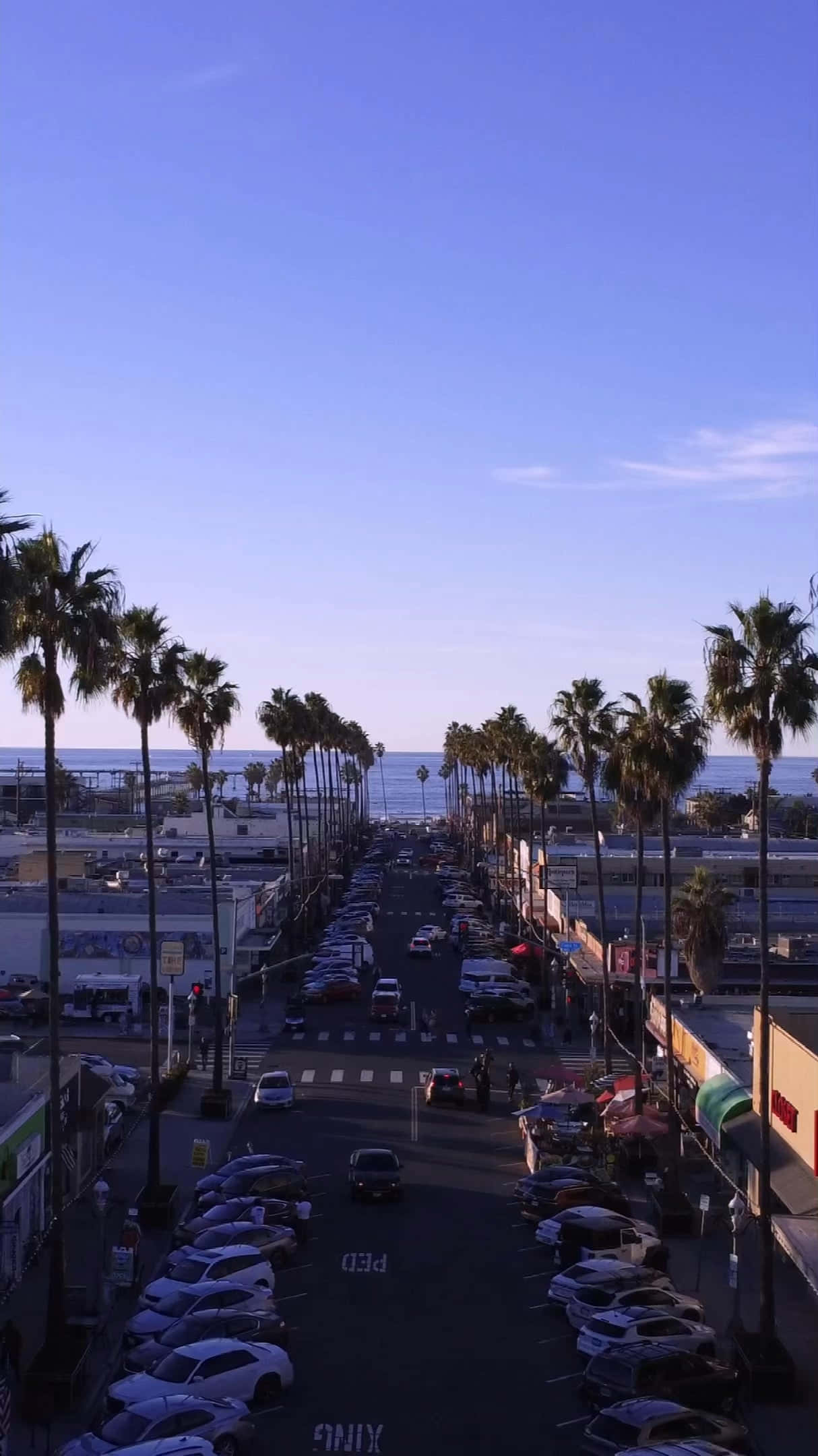 Southern California 桌布 壁紙 — 高角度俯瞰棕櫚樹成蔭的海岸街道，停泊的汽車和海洋地平線在清澈藍天下。