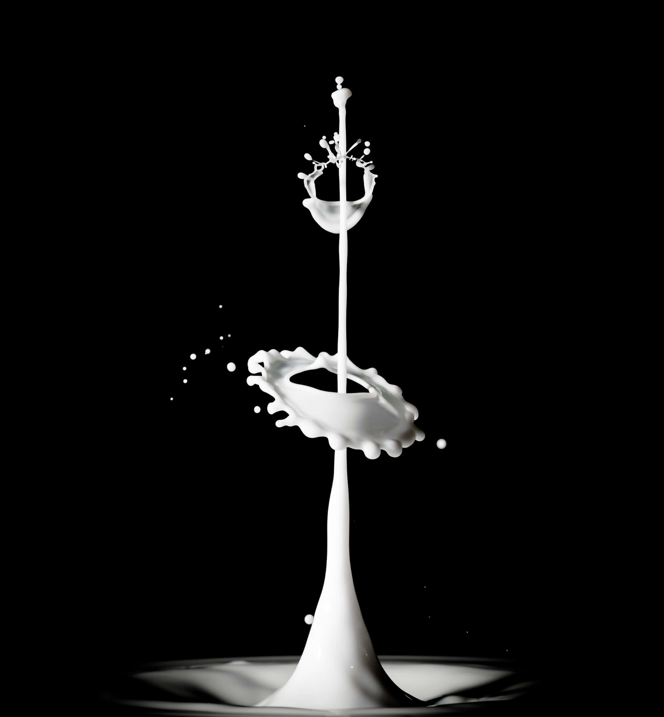 Splash 桌布 壁紙 — 高速攝影中，白色液體的冰凍飛濺在純黑背景上形成皇冠和圓環。