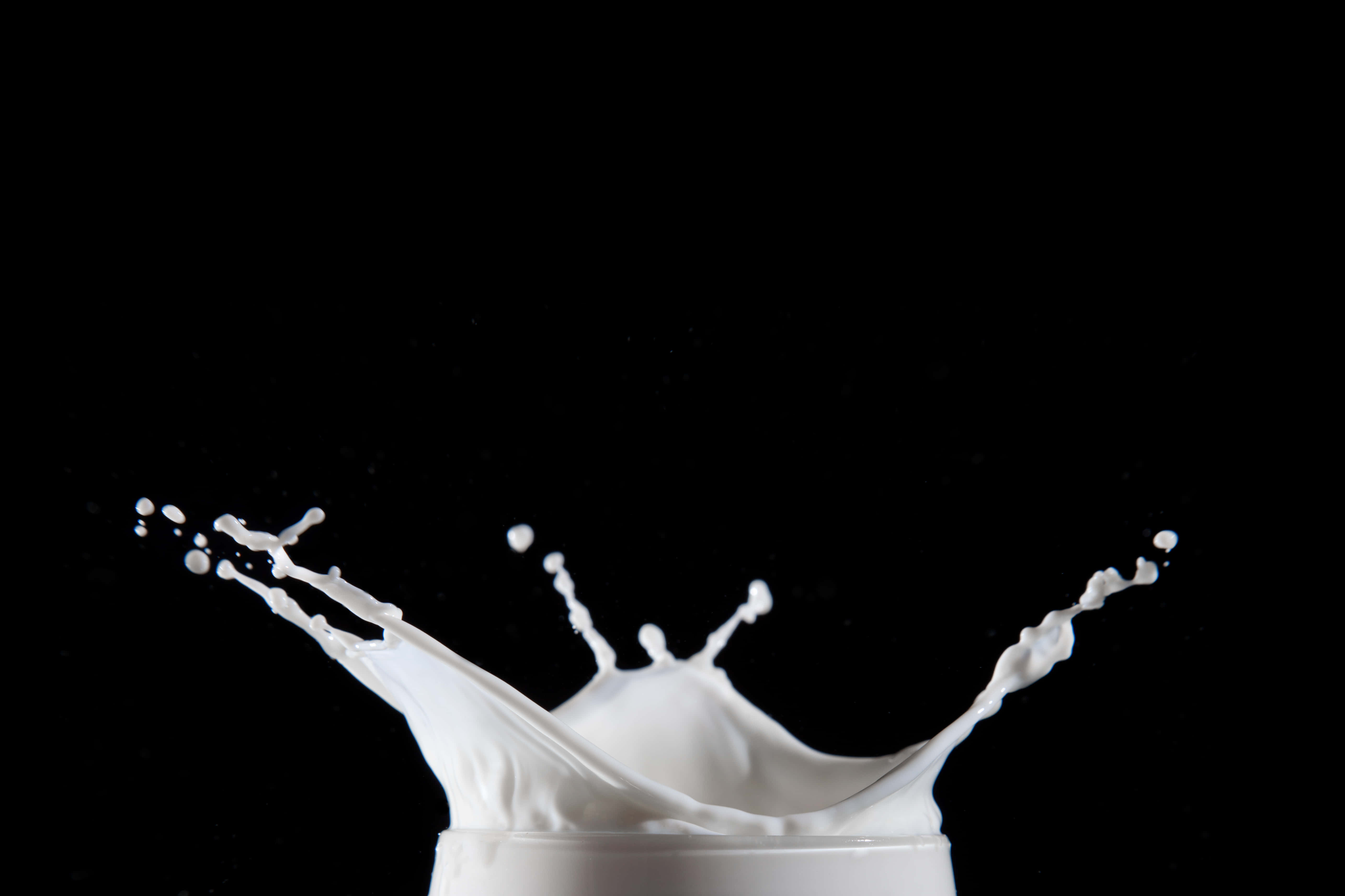 Milk 桌布 壁紙 — 高速攝影中，白色牛奶的冰凍飛濺在純黑色背景下戲劇性地噴發。