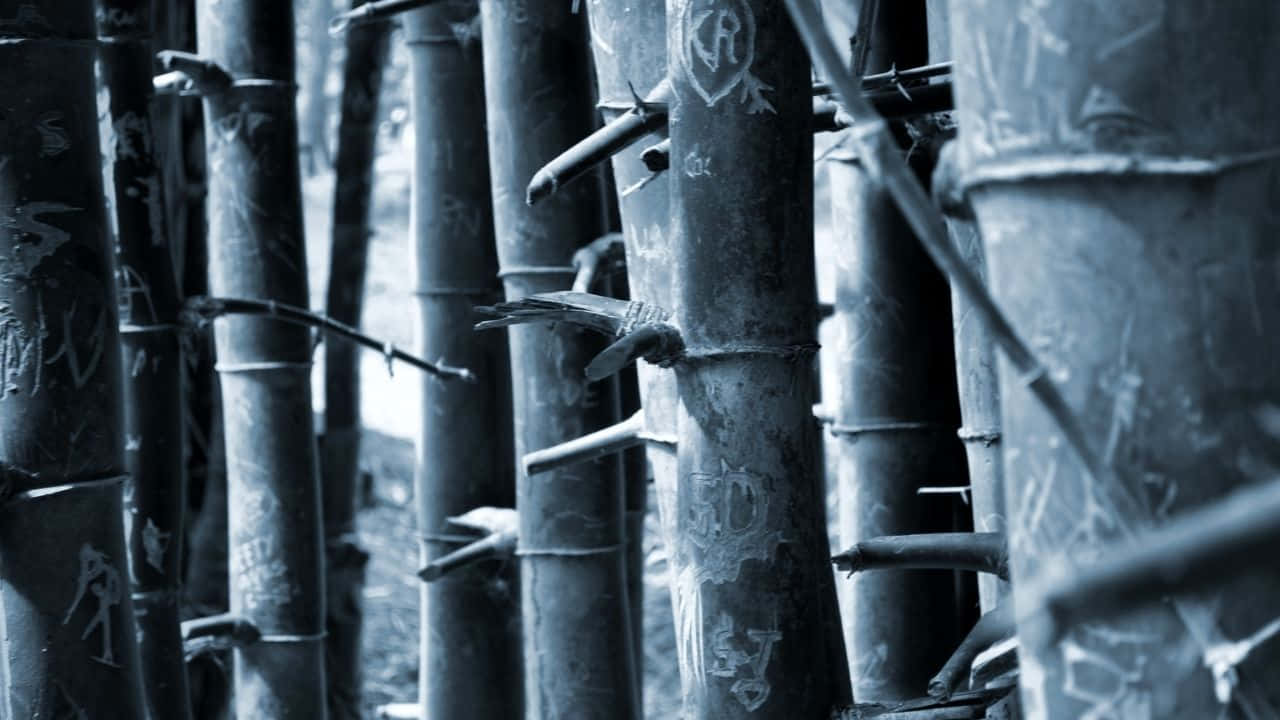 720p Bamboo 桌布 壁紙 — 高高的竹莖被塗鴉和鐵絲網覆蓋，營造出粗獷的城市叢林場景。