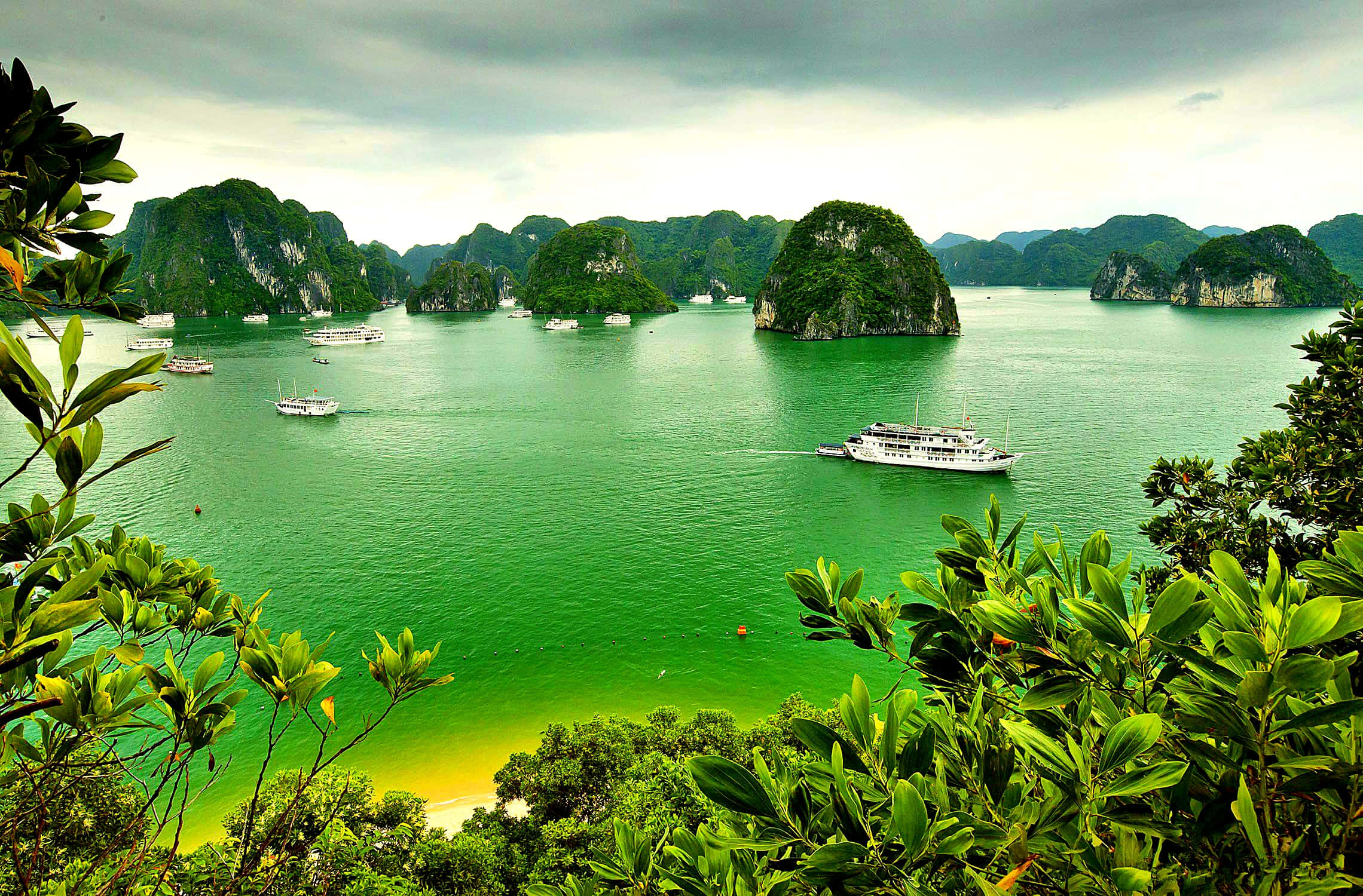 Vietnam 桌布 壁紙 — 鬱鬱蔥蔥的綠色喀斯特島嶼從翠綠的海水中升起，點綴著白色的觀光船，天空多雲。