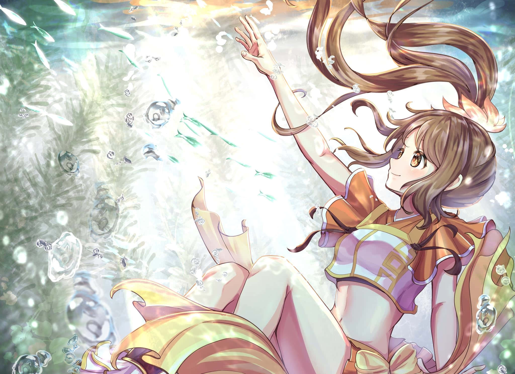 魔法少女小圓圖片 壁紙