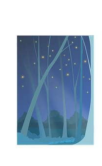 魔法森林夜景 — 森林 壁紙