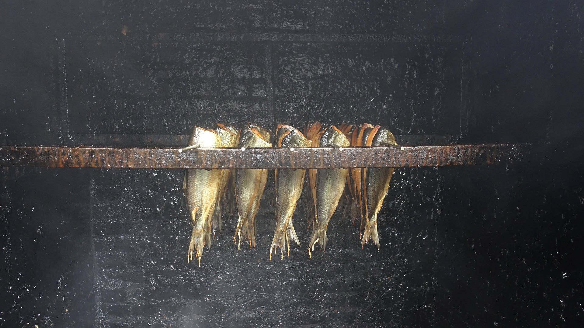 Herring 桌布 壁紙 — 魚掛在生鏽的金屬棒上，在煙霧瀰漫的黑暗燻製廠中晾乾，水滴落下。