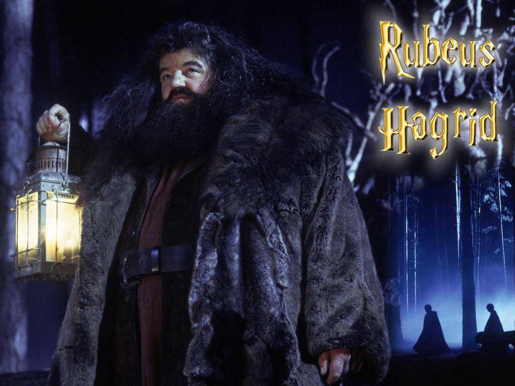 rubeus hagrid 桌布 壁紙 — 魯霸·海格站在黑暗的森林中，手持發光的燈籠，上方有金色的字母拼出他的名字。