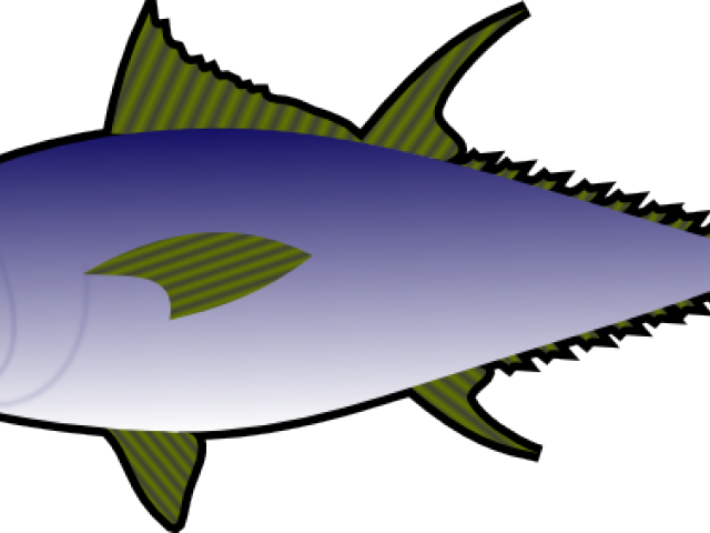 鮪魚插畫圖形 壁紙