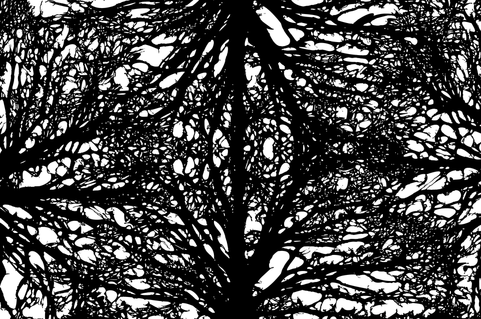 攝影 桌布 壁紙 — 鮮明的黑色背景上，複雜的白色線條圖案形成對稱的抽象設計。
