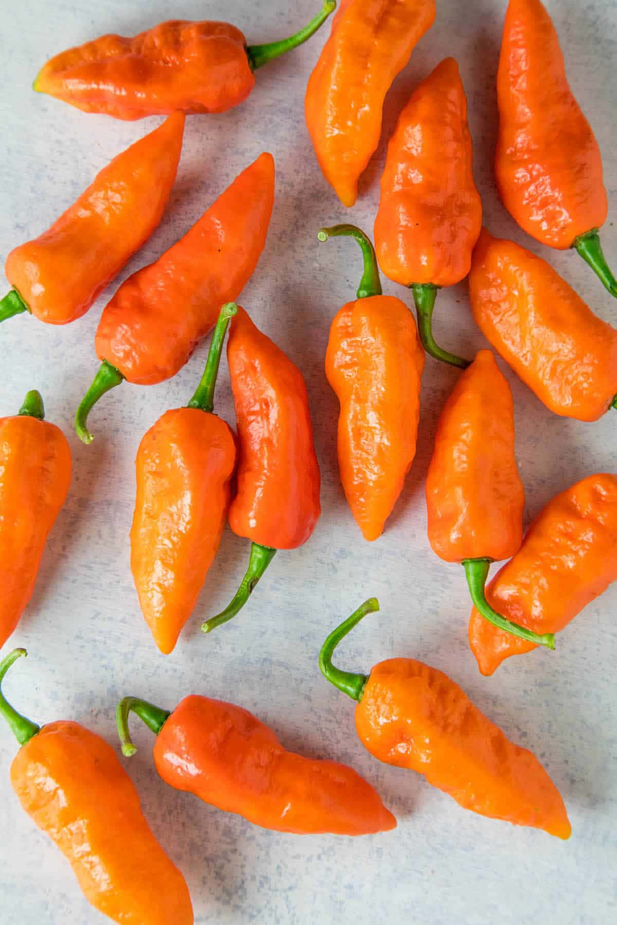 Ghost Pepper 桌布 壁紙 — 鮮橙色哈瓦那辣椒帶綠色莖部散落在淺灰色斑點表面上。