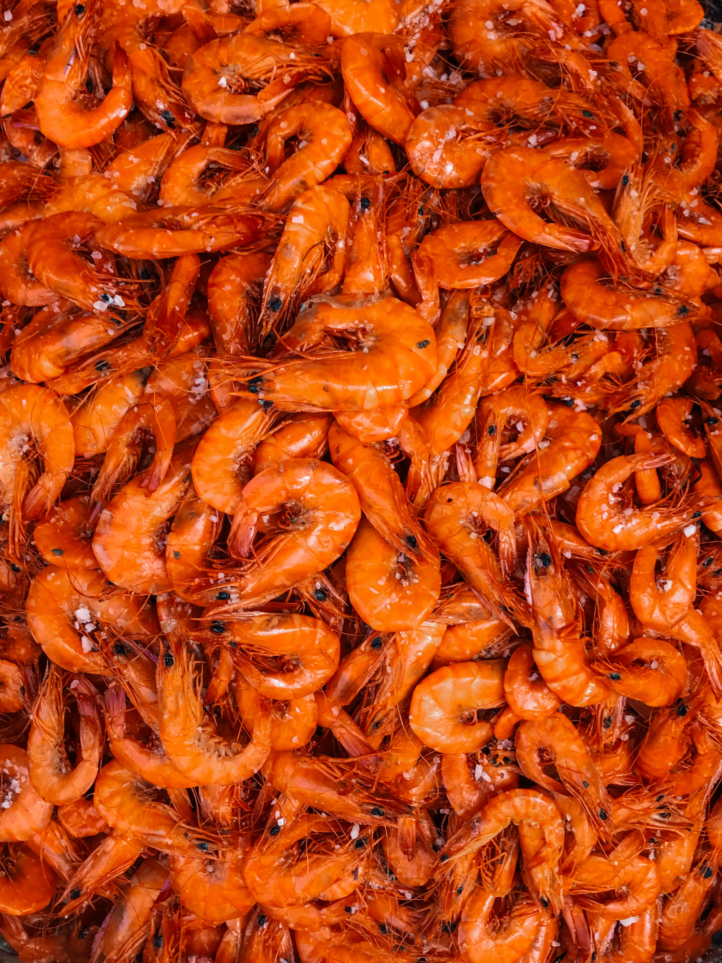 shrimp 桌布 壁紙 — 鮮橙色熟蝦堆疊在一起的特寫，蝦殼上可見閃閃發光的鹽晶體。
