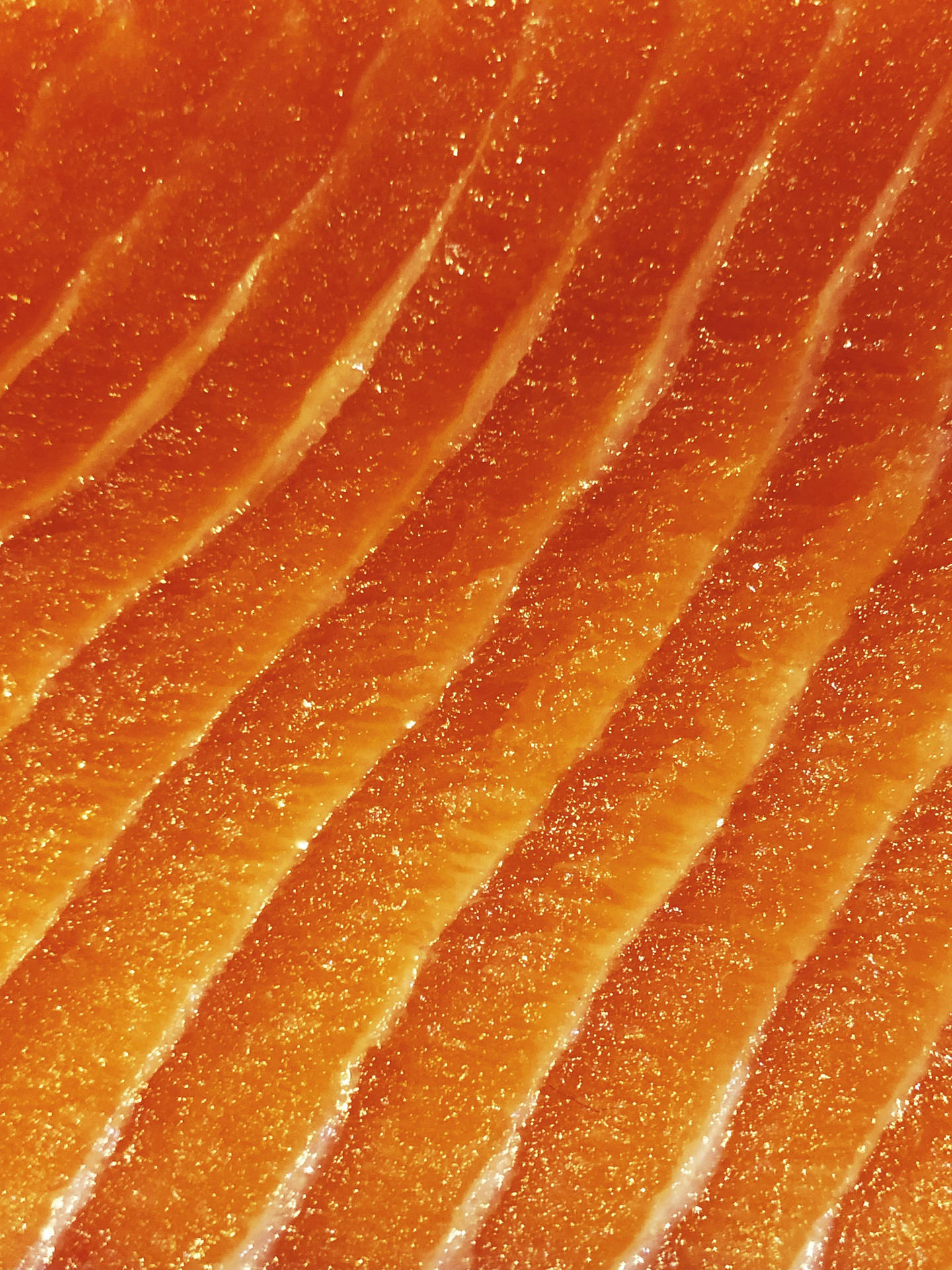 Orange 桌布 壁紙 — 鮮橙色鮭魚片的特寫，展現閃亮質地和明顯的白色脂肪線。