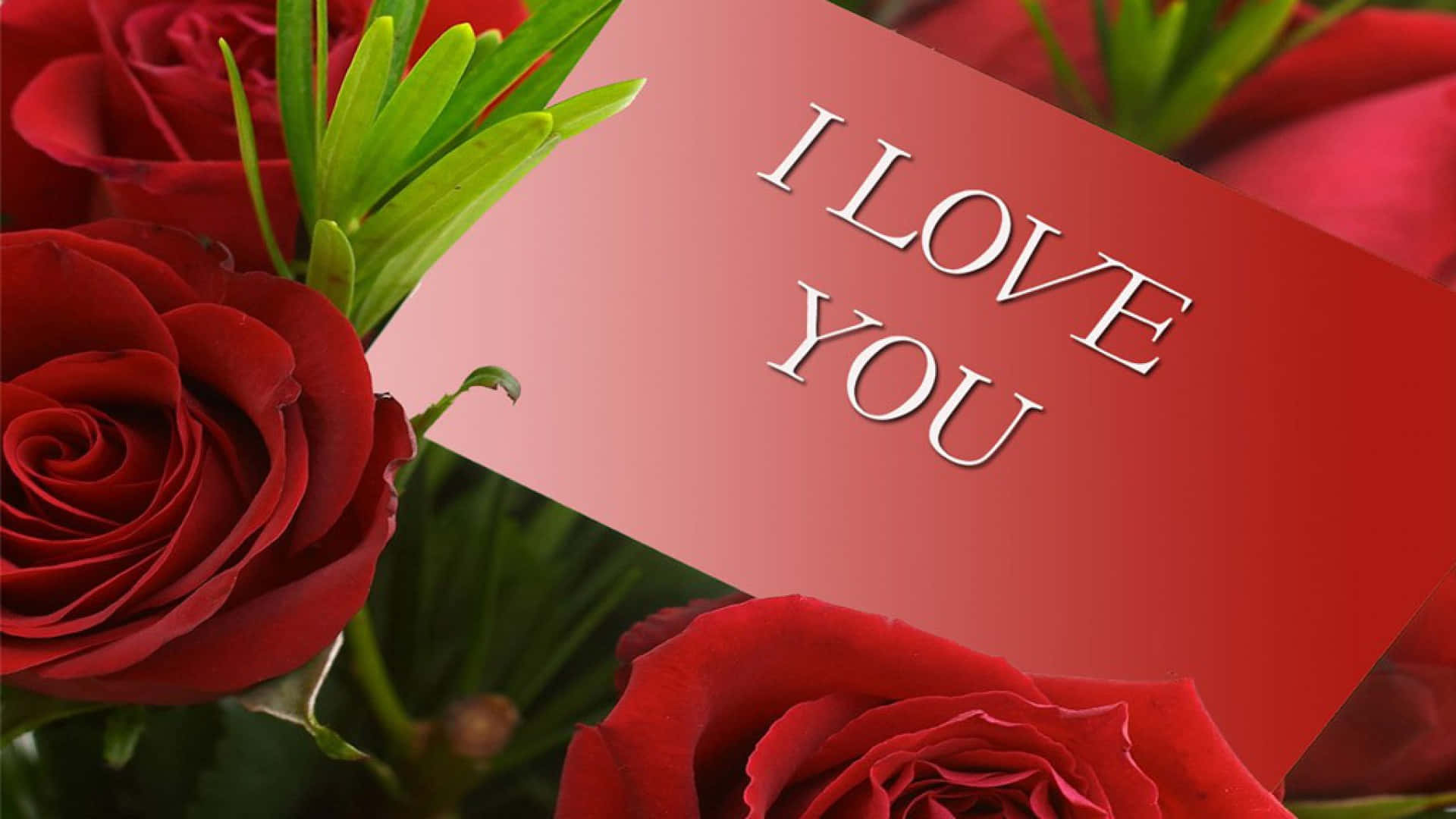 love you 桌布 壁紙 — 鮮紅玫瑰圍繞著一張帶有銀色「I LOVE YOU」字樣的紅色卡片的特寫。