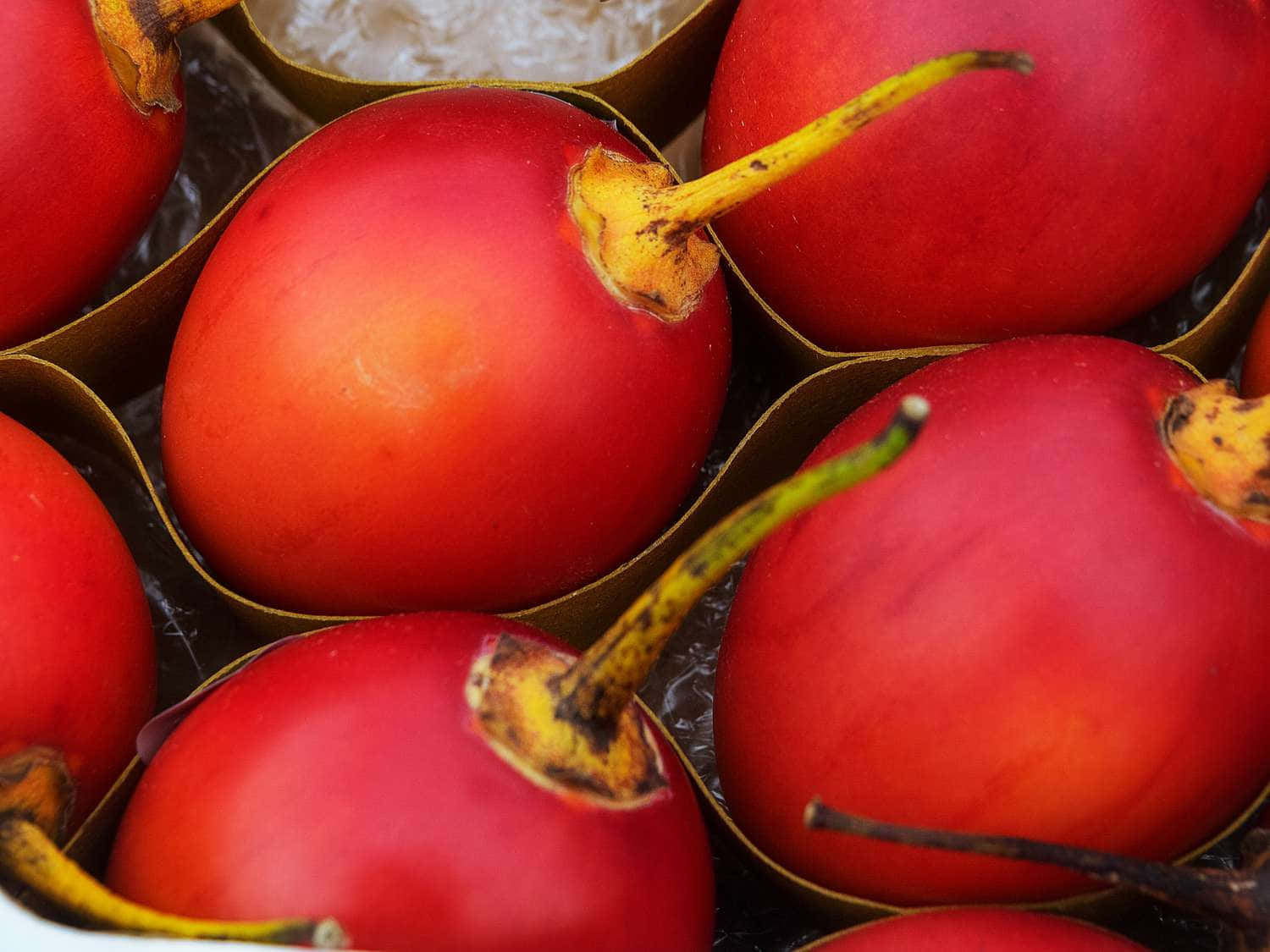 Fruit 桌布 壁紙 — 鮮紅番茄整齊排列在金色紙板槽中，帶有黃色莖和輕微瑕疵。