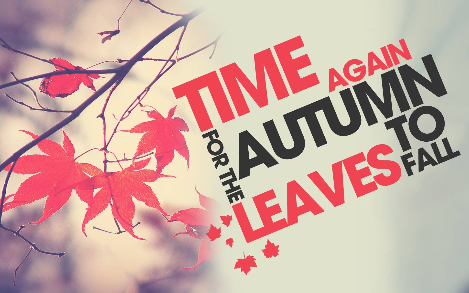 Autumn Season 桌布 壁紙 — 鮮紅的楓葉緊貼在光禿的樹枝上，背景柔和模糊，粗體文字宣告秋天的回歸。
