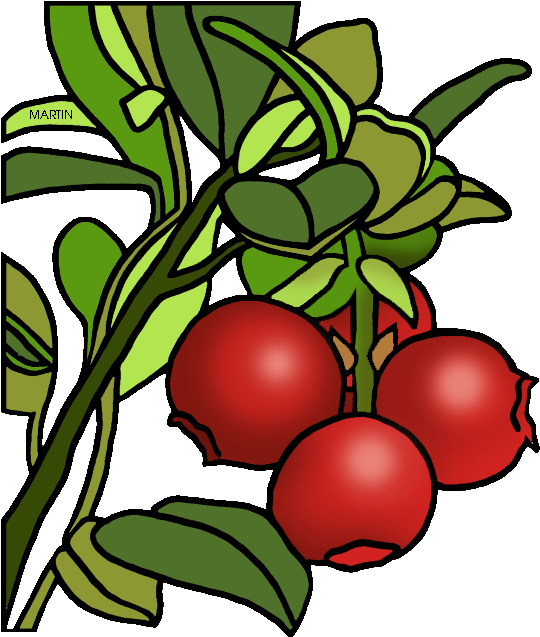 Cranberry 桌布 壁紙 — 鮮紅的漿果簇擁在帶有風格化葉子的綠色藤蔓上，襯托在純黑背景上。