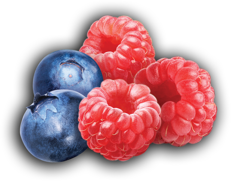 Raspberries 桌布 壁紙 — 鮮紅的覆盆子和深藍的藍莓在純黑背景上閃閃發光。
