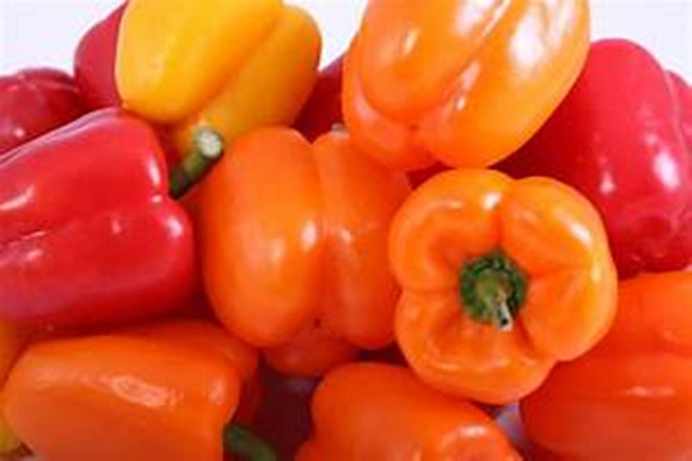 Fruit 桌布 壁紙 — 鮮紅色、黃色和橙色的燈籠椒堆疊在一起，表皮光滑，帶有綠色莖，背景為白色。
