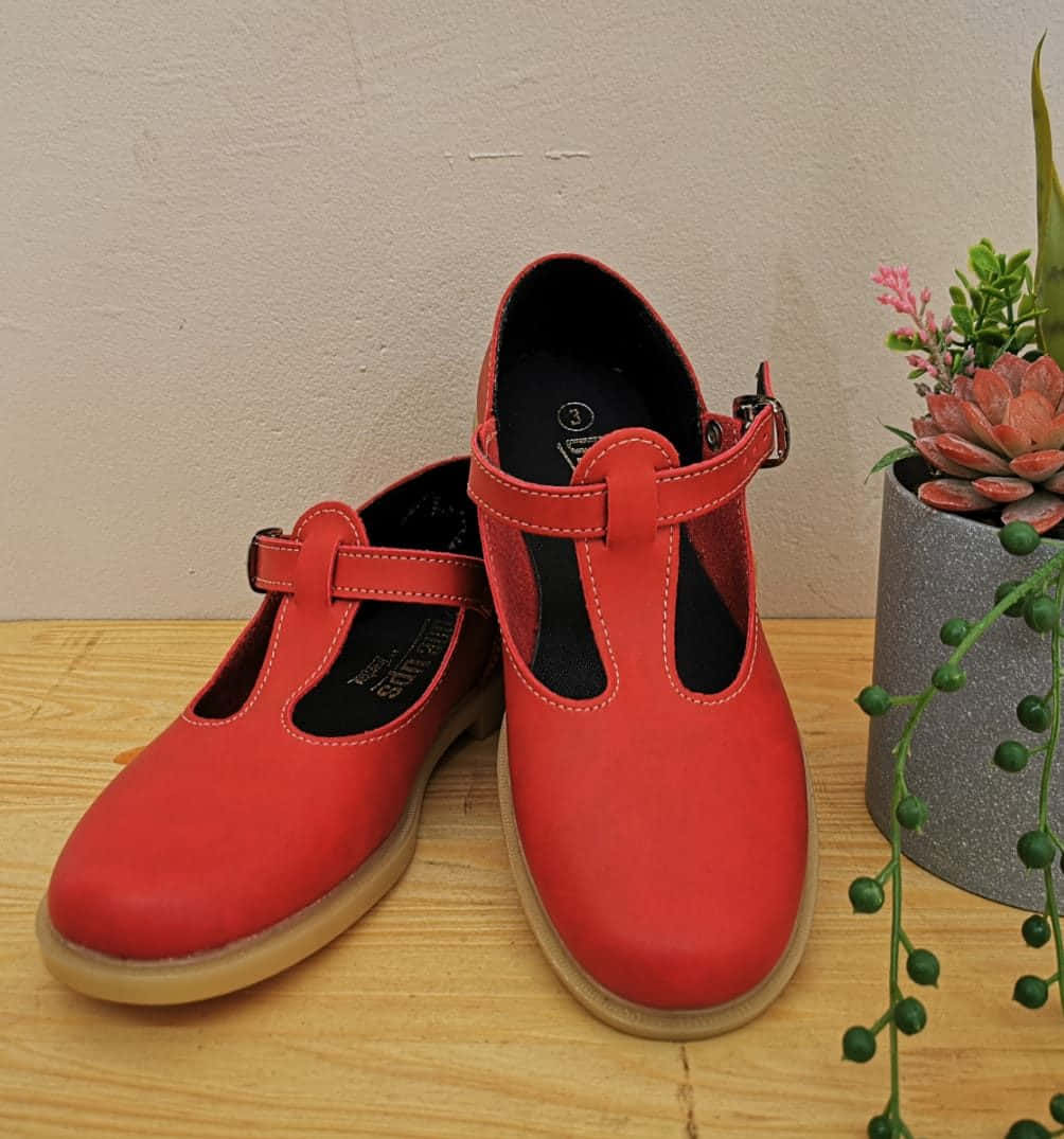 Red Shoes 桌布 壁紙 — 鮮紅色T字帶鞋搭配米色鞋底，放置在木質表面上，旁邊有一盆多肉植物和垂吊植物。