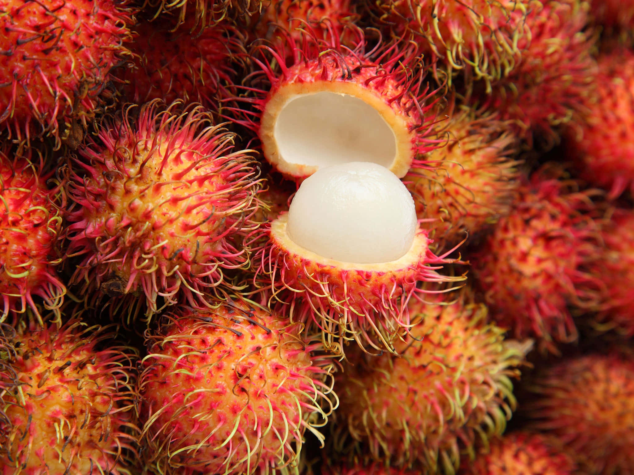 Rambutan 桌布 壁紙 — 鮮紅色多毛紅毛丹的特寫，其中一顆裂開露出半透明的白色果肉。