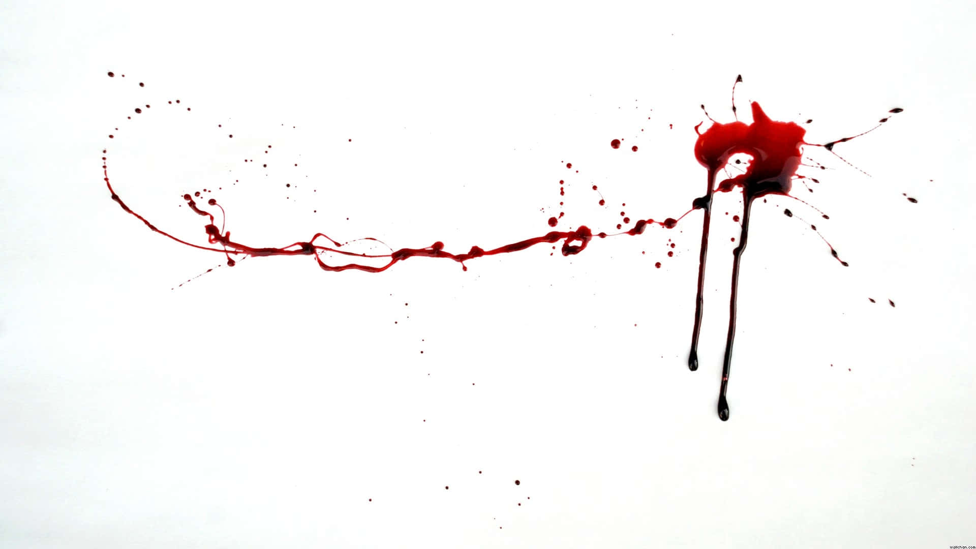 Blood 桌布 壁紙 — 鮮紅色的液體飛濺在純白背景上劃出一道弧線，主衝擊點後有液滴和拖尾。