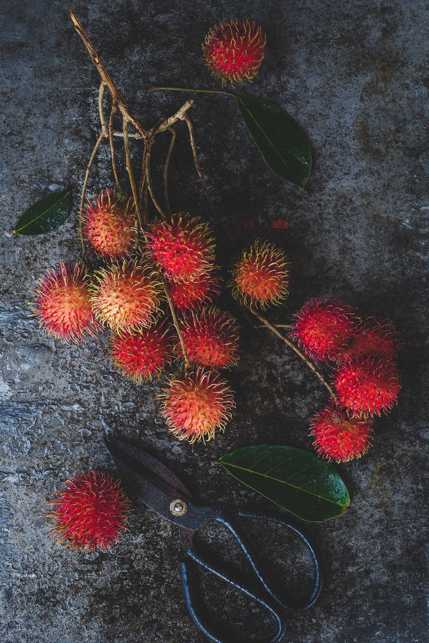 Fruits 桌布 壁紙 — 鮮紅色的紅毛丹帶有刺狀毛髮，放置在深色紋理表面上，旁邊有一把剪刀和綠葉。