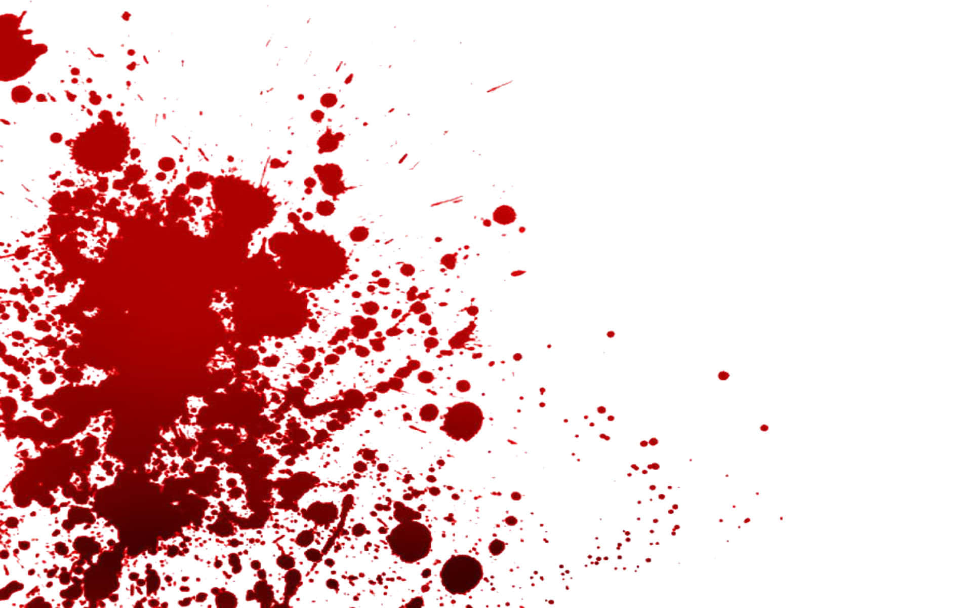 Blood Splatter 桌布 壁紙 — 鮮紅色的血濺在純白背景上，形成混亂且高對比的爆發。