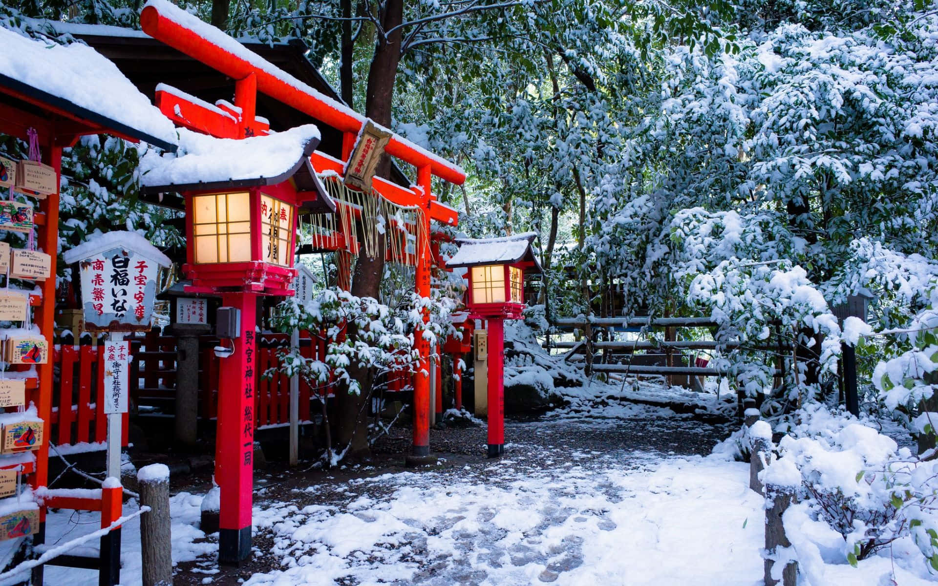 High Resolution Snow 桌布 壁紙 — 鮮紅色的鳥居和燈籠在冬季的雪地森林小徑上溫暖地發光。