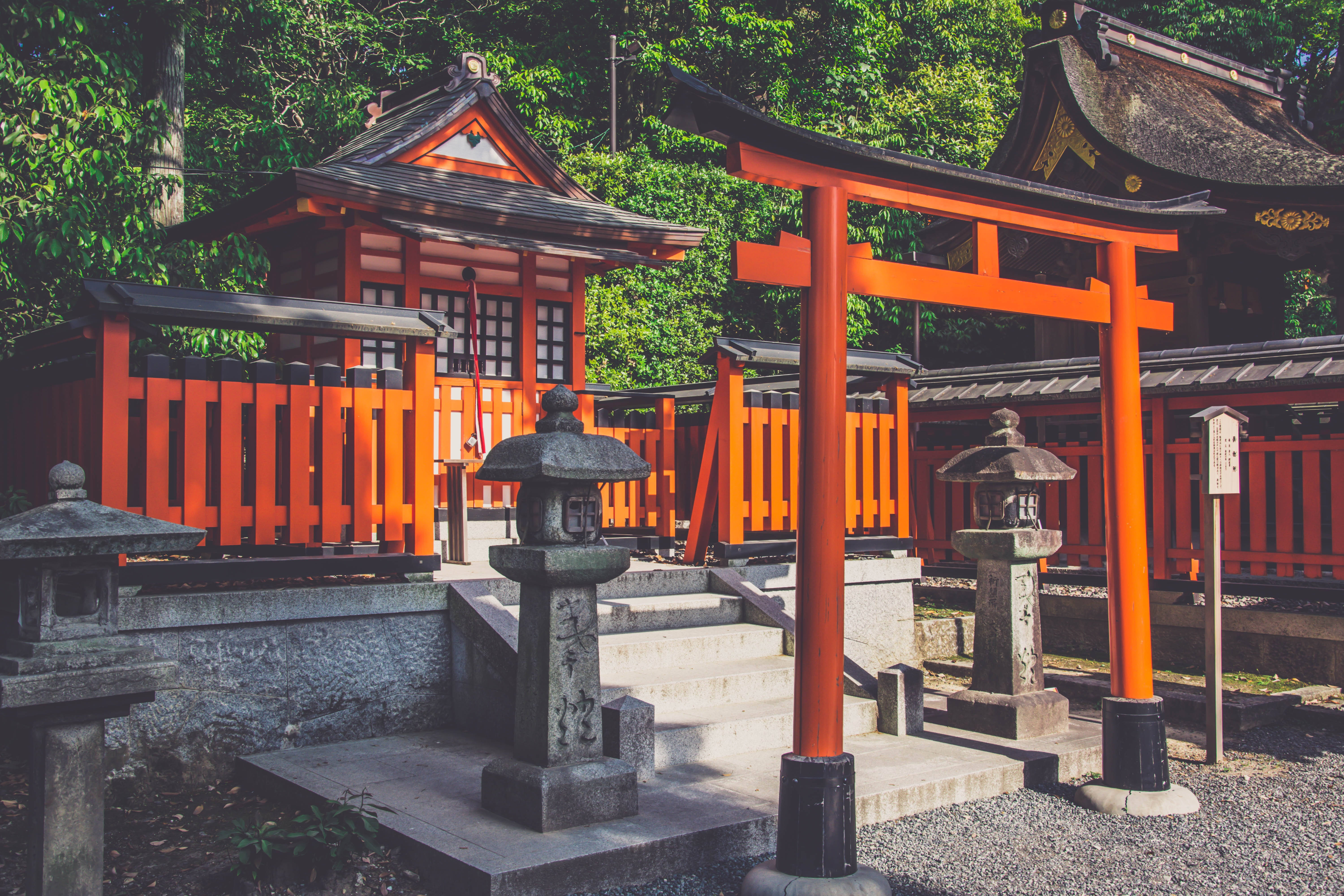 日式 桌布 壁紙 — 鮮紅色的鳥居和神社建築在明亮的日光下矗立在茂密的綠樹叢中。