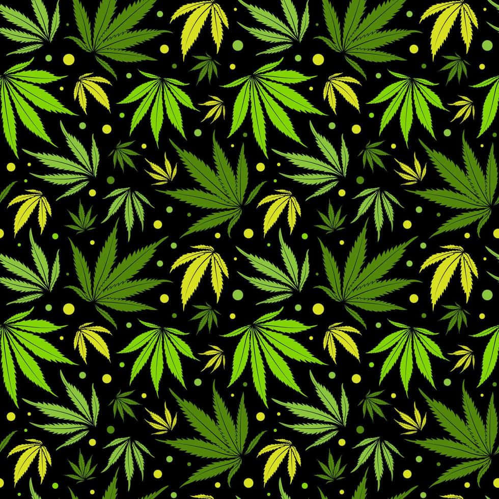 葉子 桌布 壁紙 — 鮮綠色大麻葉和黃色圓點在純黑色背景上重複，形成大膽的圖案。