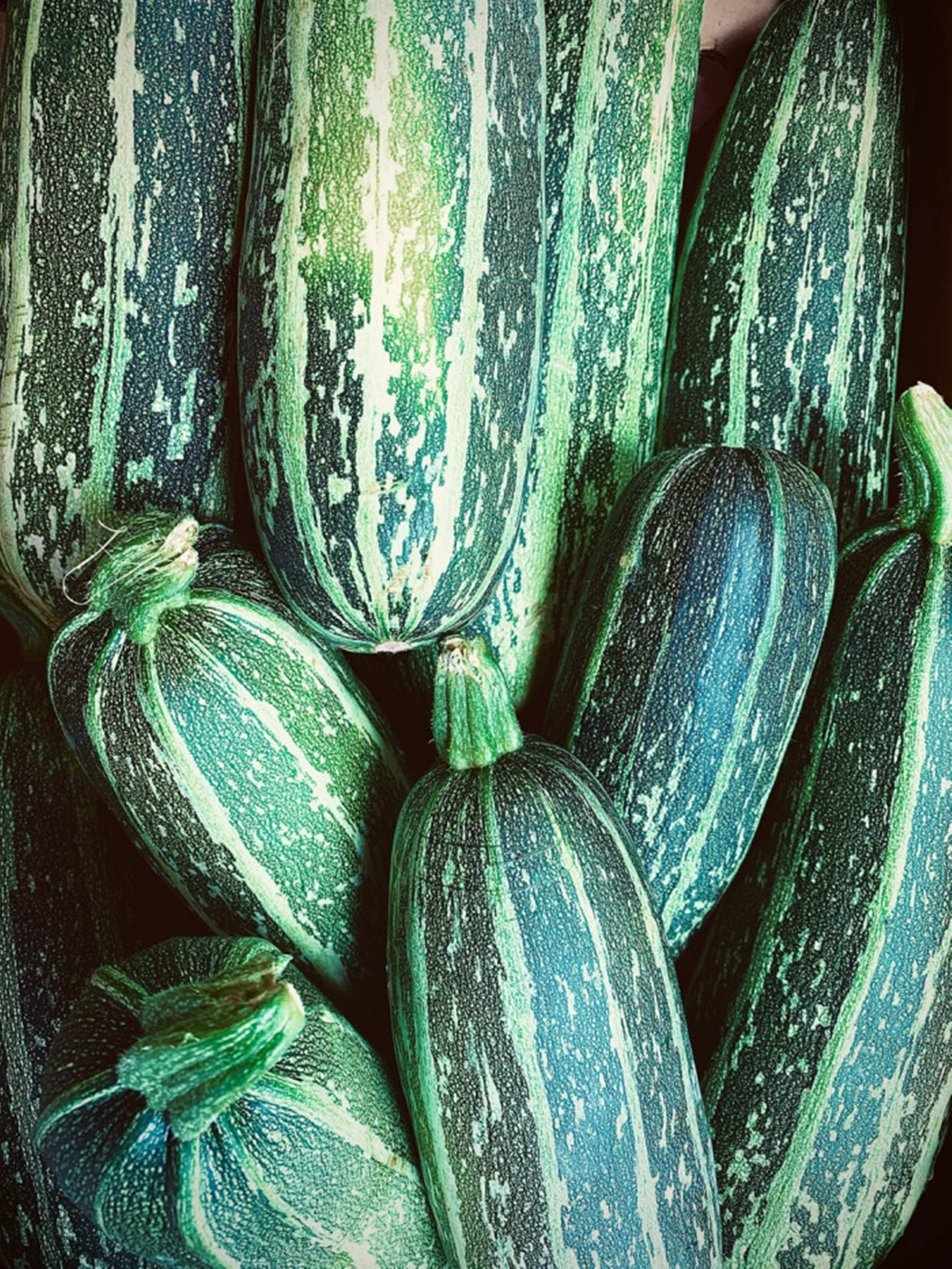 food iPhone 桌布 壁紙 — 鮮綠色條紋櫛瓜的特寫，表皮有紋理，莖部明亮，堆疊在一起。