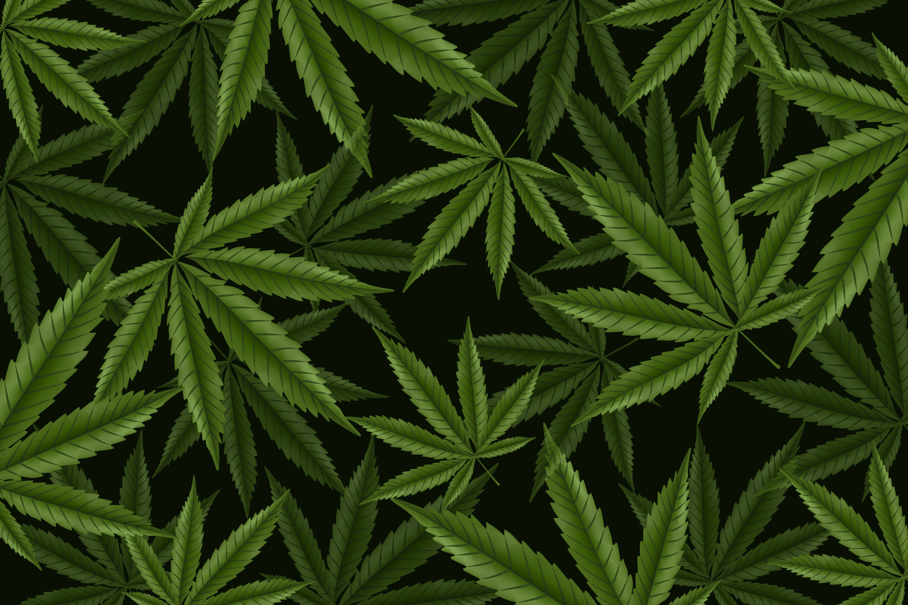 葉子 桌布 壁紙 — 鮮綠色的大麻葉在純黑色背景上密集重疊，形成大膽的植物圖案。