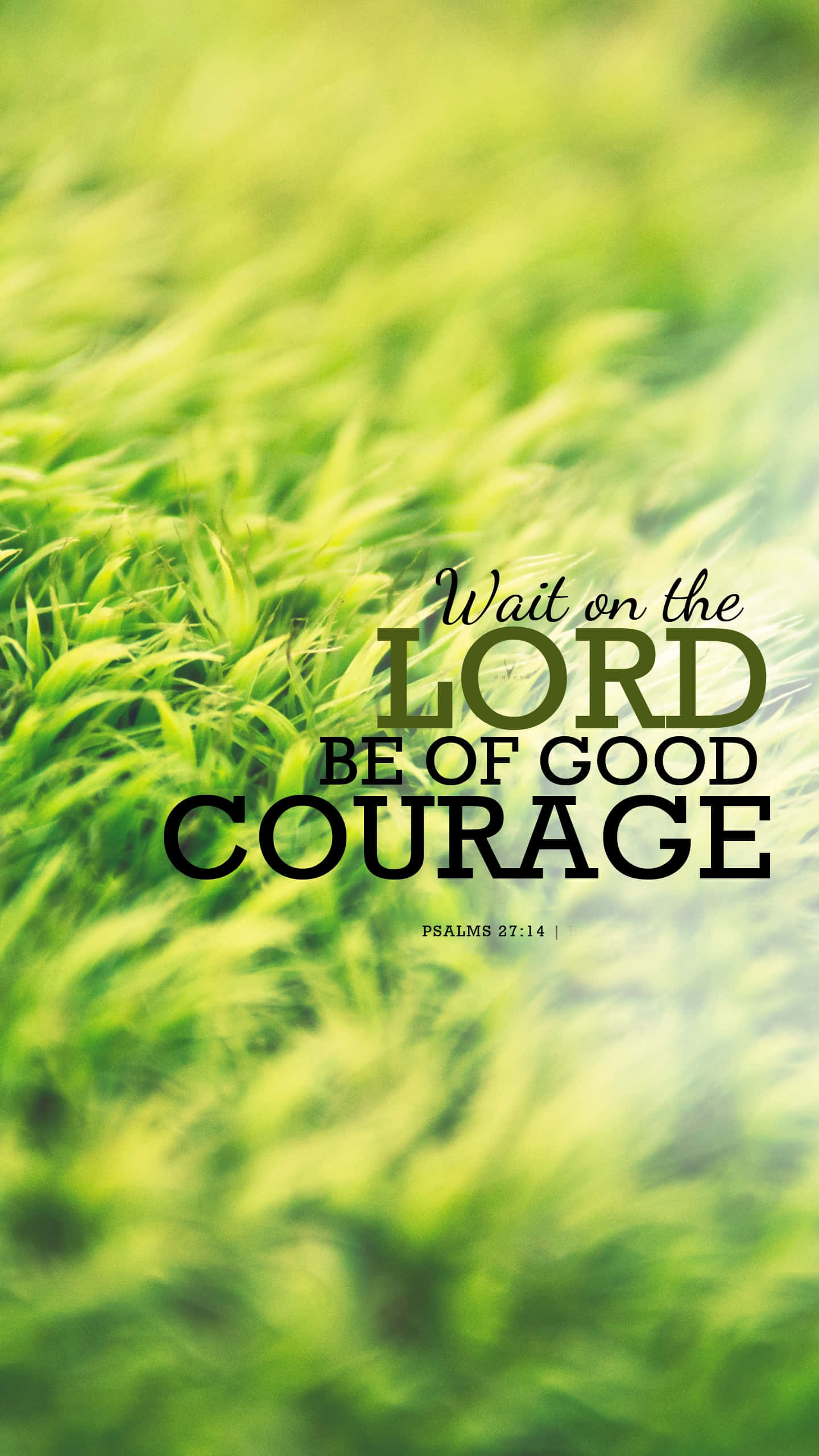 Encouraging Bible Verses 桌布 壁紙 — 鮮綠色草地在粗體文字「Wait on the LORD BE OF GOOD COURAGE」（詩篇27:14）後方輕輕搖曳。