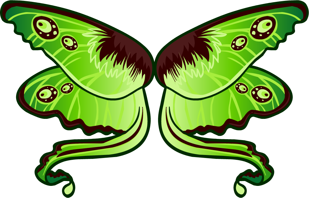 moth 桌布 壁紙 — 鮮綠色蛾翼，帶有眼斑和深棕色點綴，襯以黑色背景。