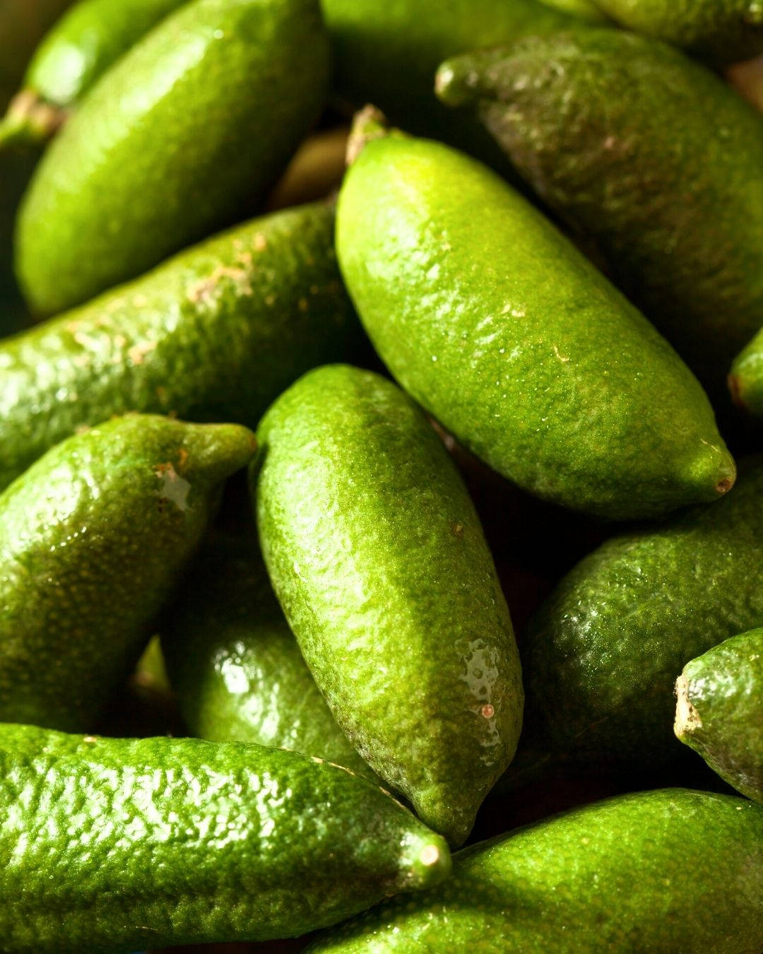 Fruits 桌布 壁紙 — 鮮綠色青檸的特寫，表皮帶有紋理，堆疊在一起，捕捉柔和光線。