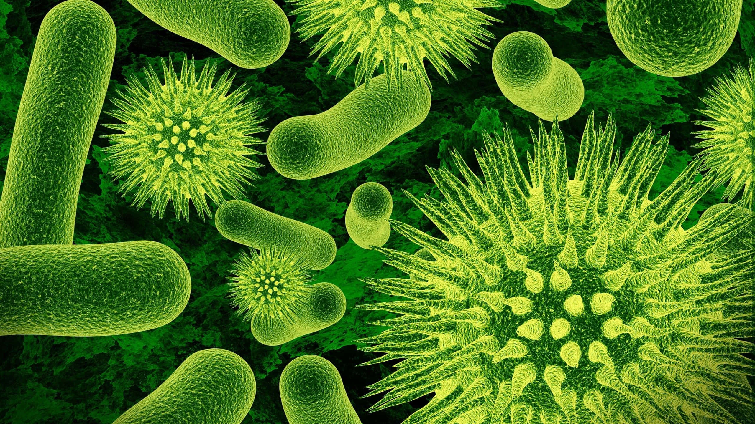 biology 桌布 壁紙 — 鮮綠色顯微鏡視圖，顯示尖刺病毒顆粒和桿狀細菌漂浮在深綠色紋理背景上。