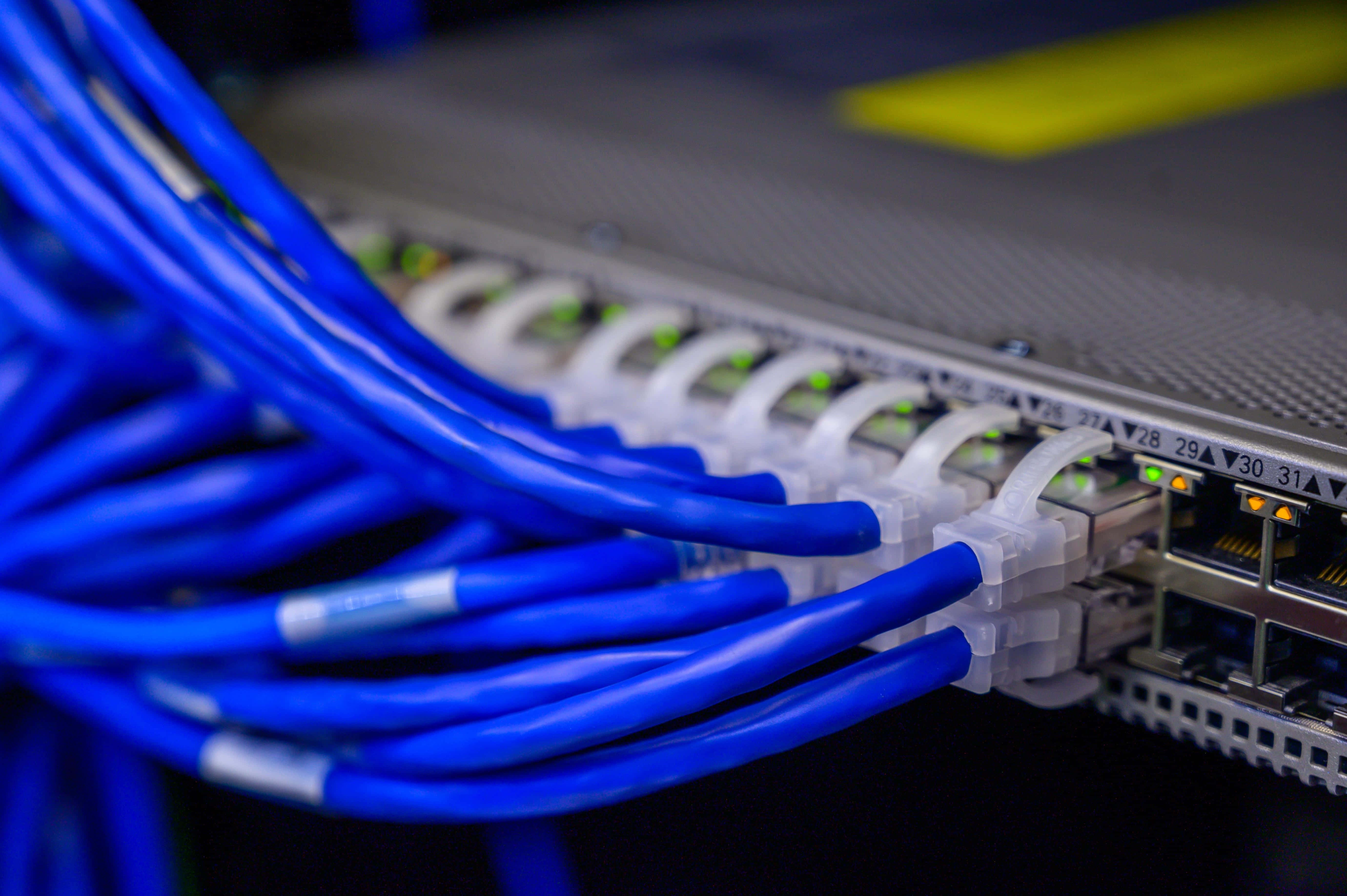 Ethernet 桌布 壁紙 — 鮮藍色乙太網路電纜插入帶有綠色指示燈的網路交換器的特寫。