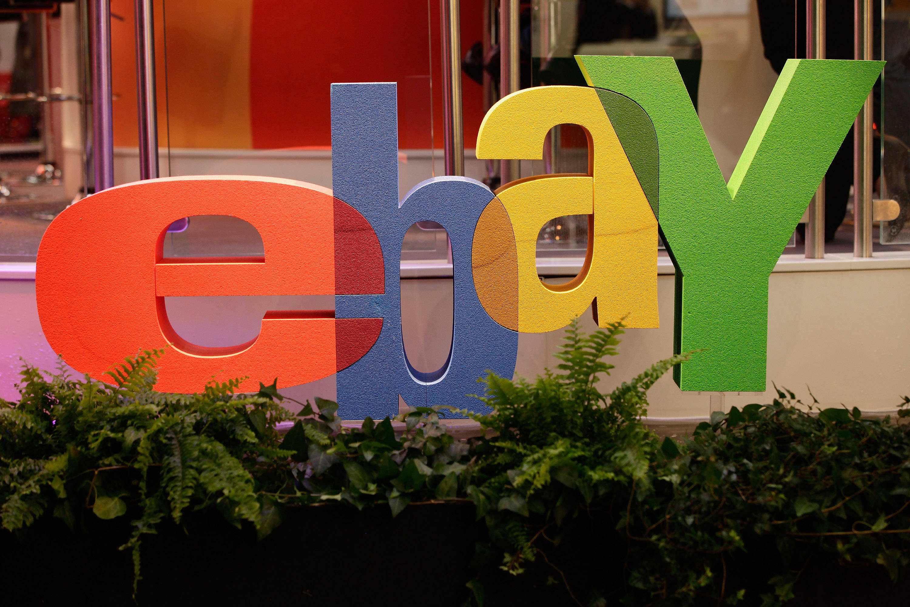 eBay 桌布 壁紙 — 鮮豔多彩的eBay標誌字母突出地站在現代店鋪櫥窗內茂密的綠色蕨類植物和常春藤後面。
