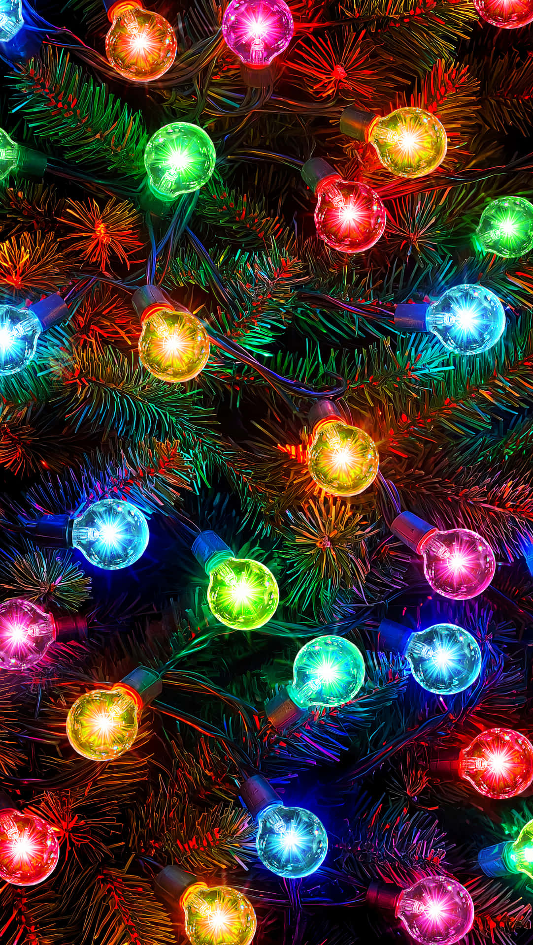 Christmas Wallpapers 壁紙 — 鮮豔多彩的聖誕燈飾在深綠色松針的襯托下明亮發光，呈現節日特寫。