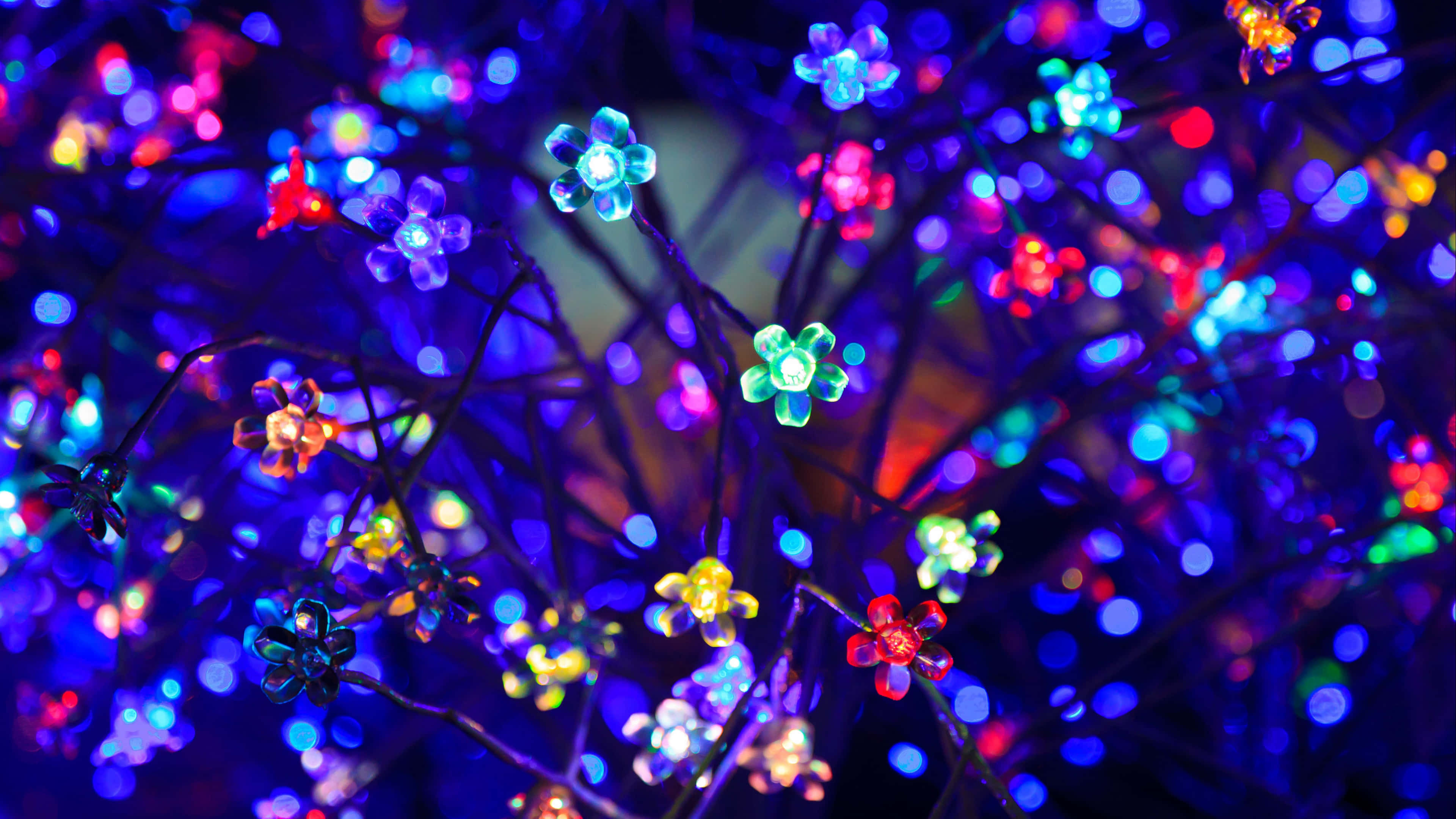 lights 桌布 壁紙 — 鮮豔多彩的花形燈光在黑暗背景中閃爍，營造出節日的散景效果。