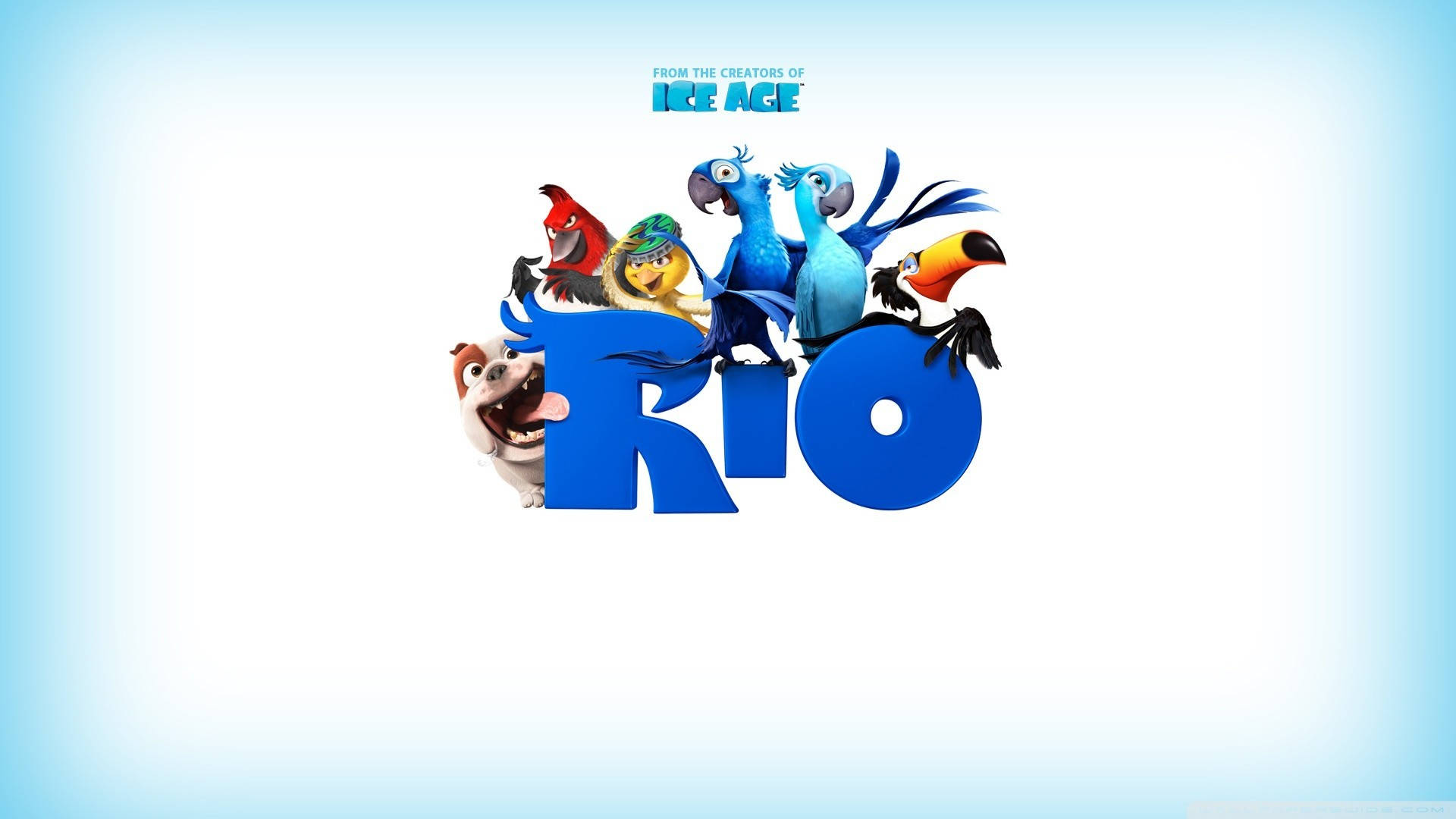rio 桌布 壁紙 — 鮮豔的動畫鳥兒頑皮地棲息在粗體藍色「Rio」字母上，背景是柔和的漸變天空。