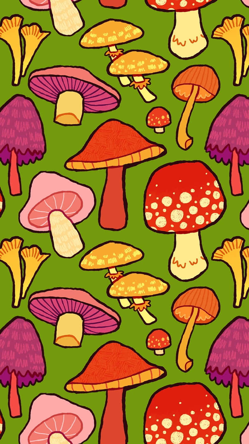 Trippy Mushroom 桌布 壁紙 — 鮮豔的卡通蘑菇，以紅色、粉紅色和橙色調散佈在綠色背景上。