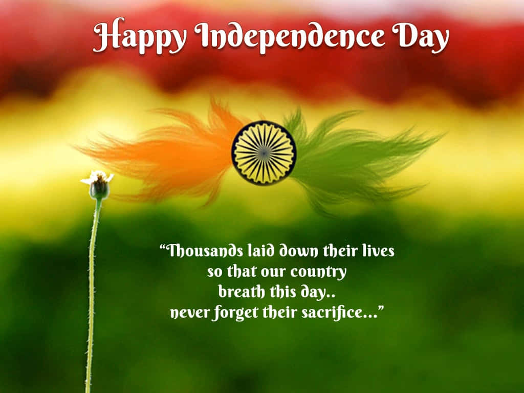 Independence Day 桌布 壁紙 — 鮮豔的印度國旗圖案像羽毛一樣在模糊的三色背景和慶祝文字上方，沿著一根綠色莖流動。